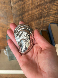 Oyster Shell Bottle Opener Brass Silver