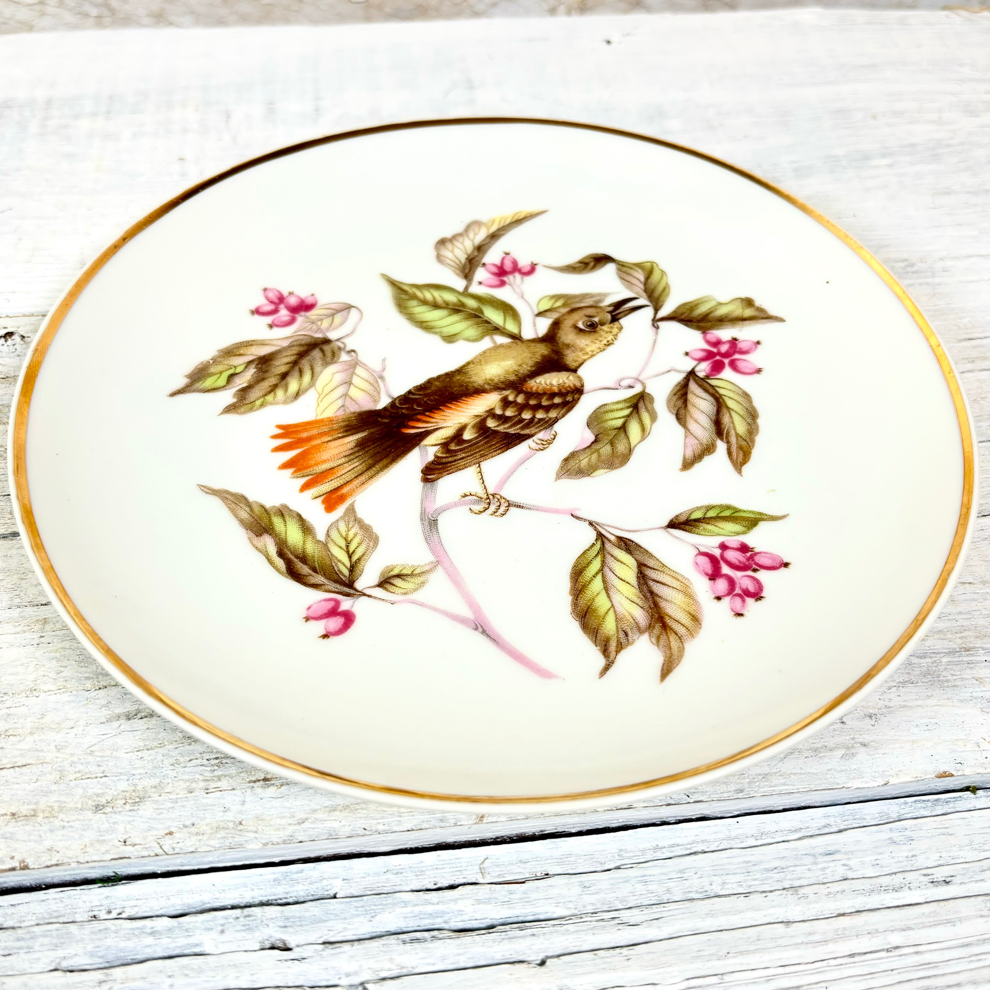 Vintage LM Royal Halsey Porcelain Green and Orange Bird Plate