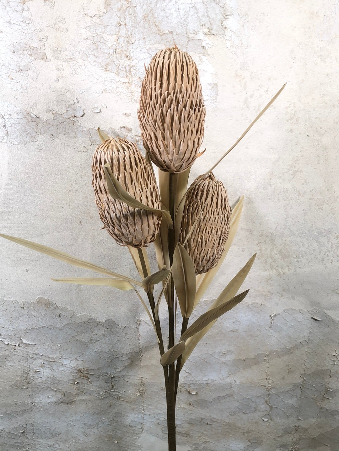 Foam Cone Protea Tan