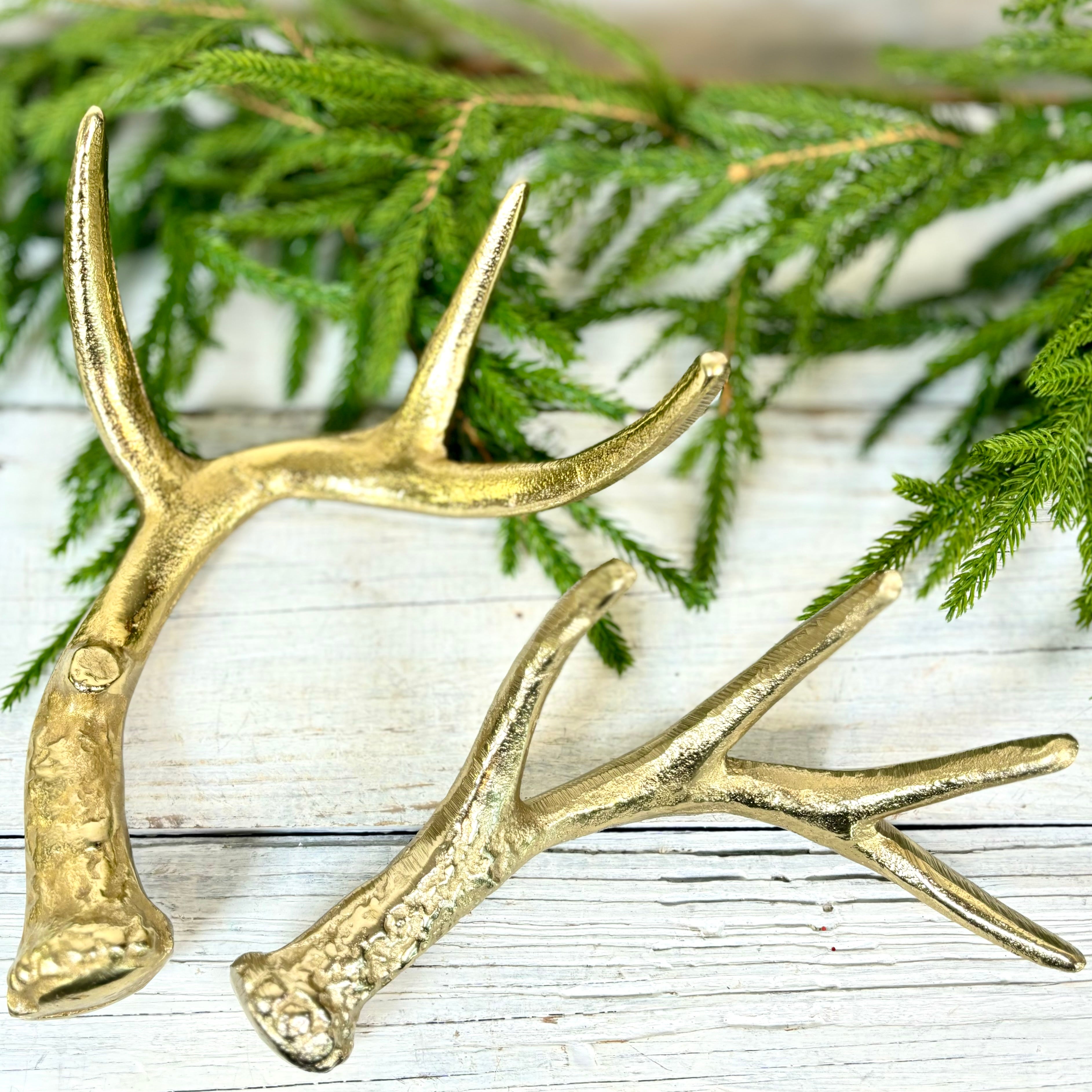 Gold Antler Medium