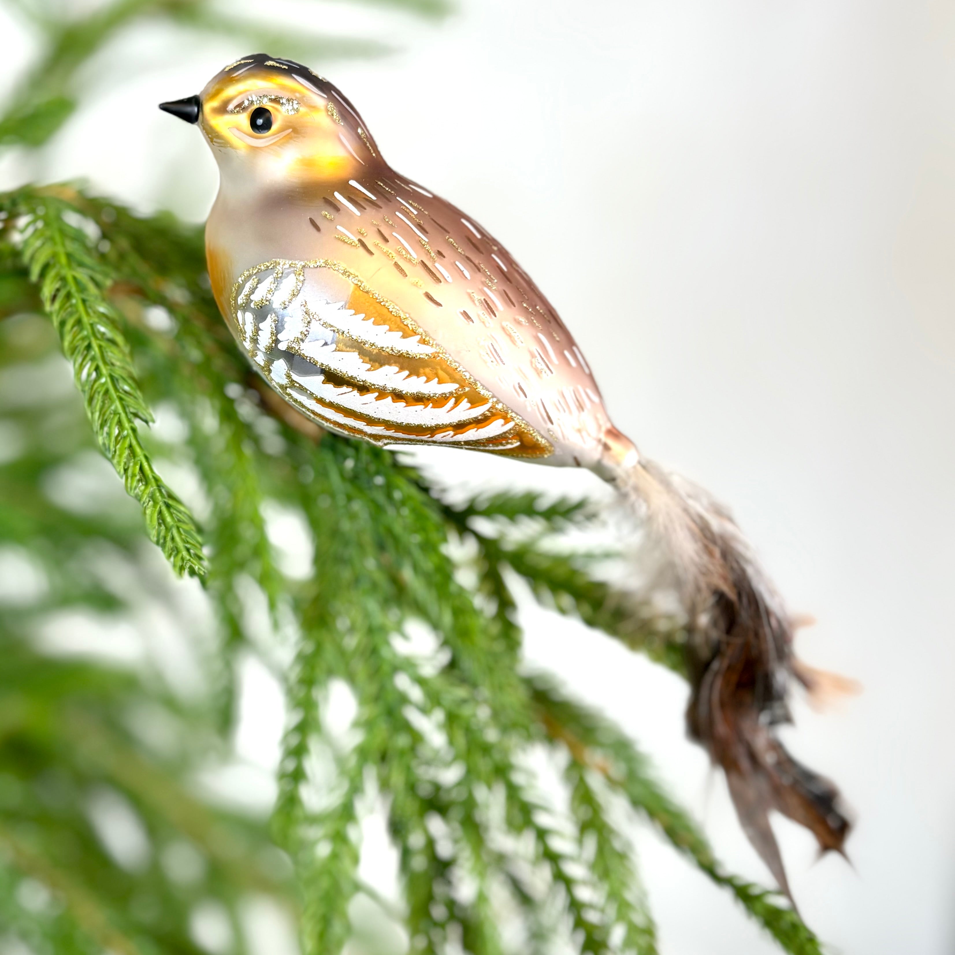 Clip-On Feathered Tail Bird Ornament