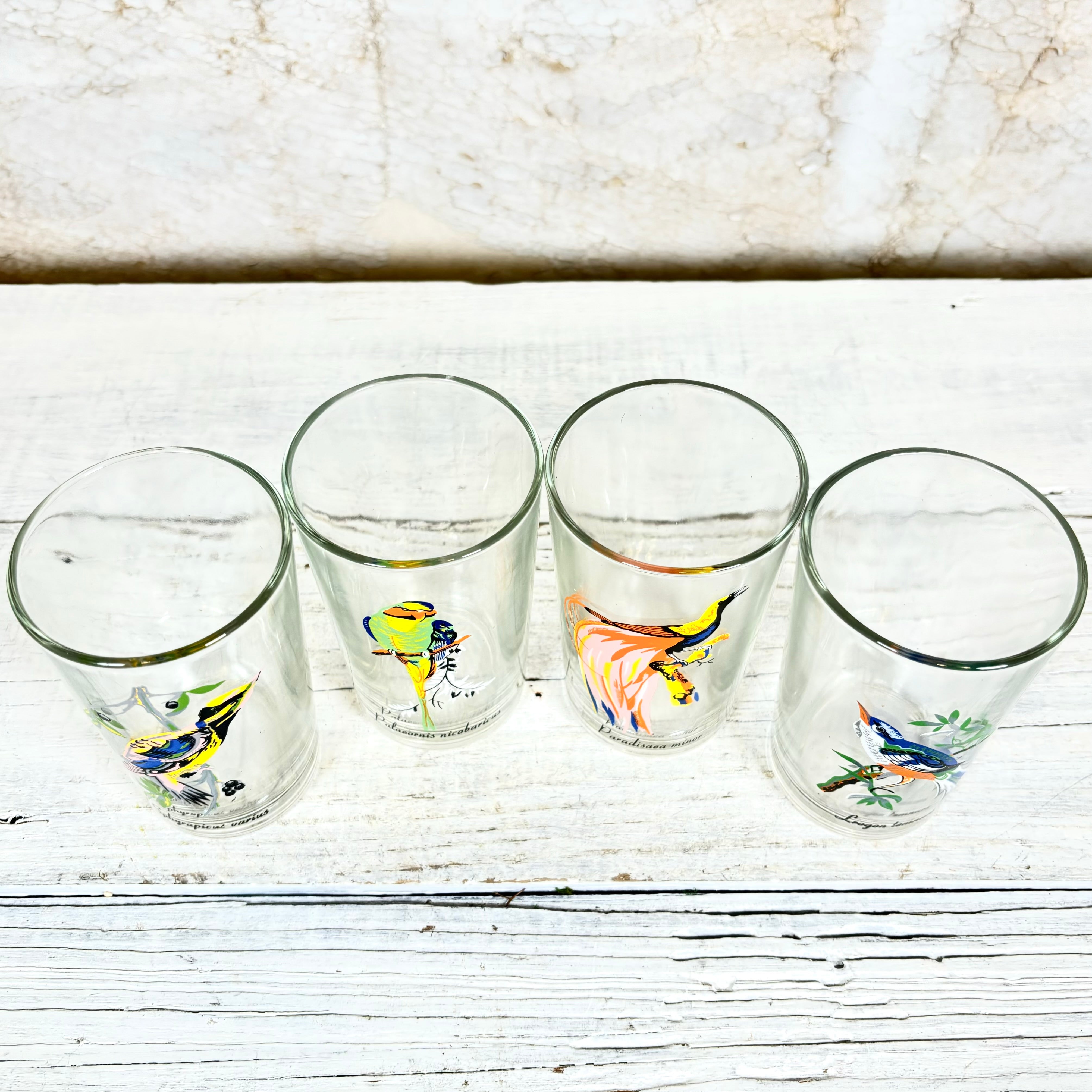 Vintage KIG Malaysia Exotic Bird Glasses Set of Four