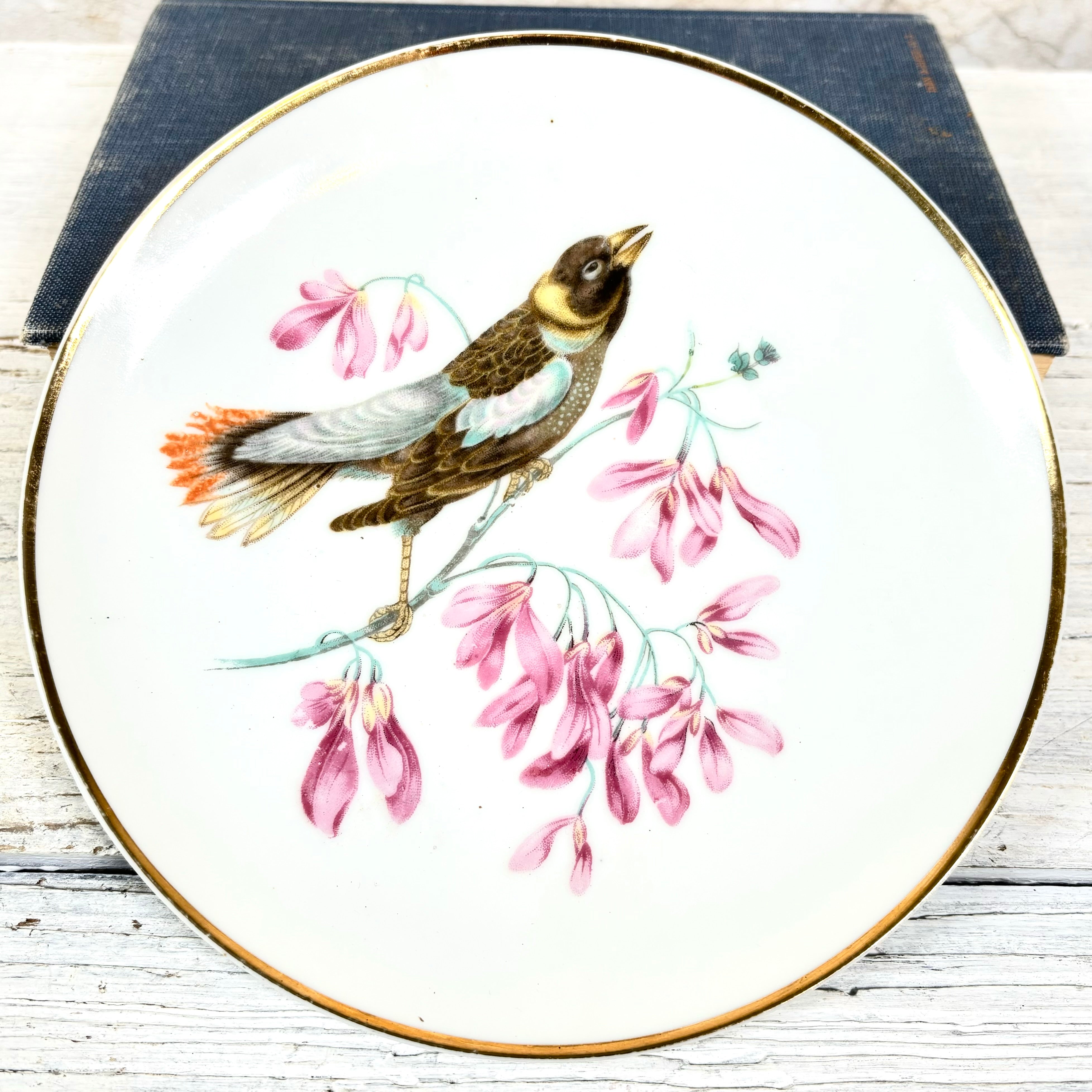 Vintage LM Royal Halsey Porcelain Yellow and Blue Bird Plate