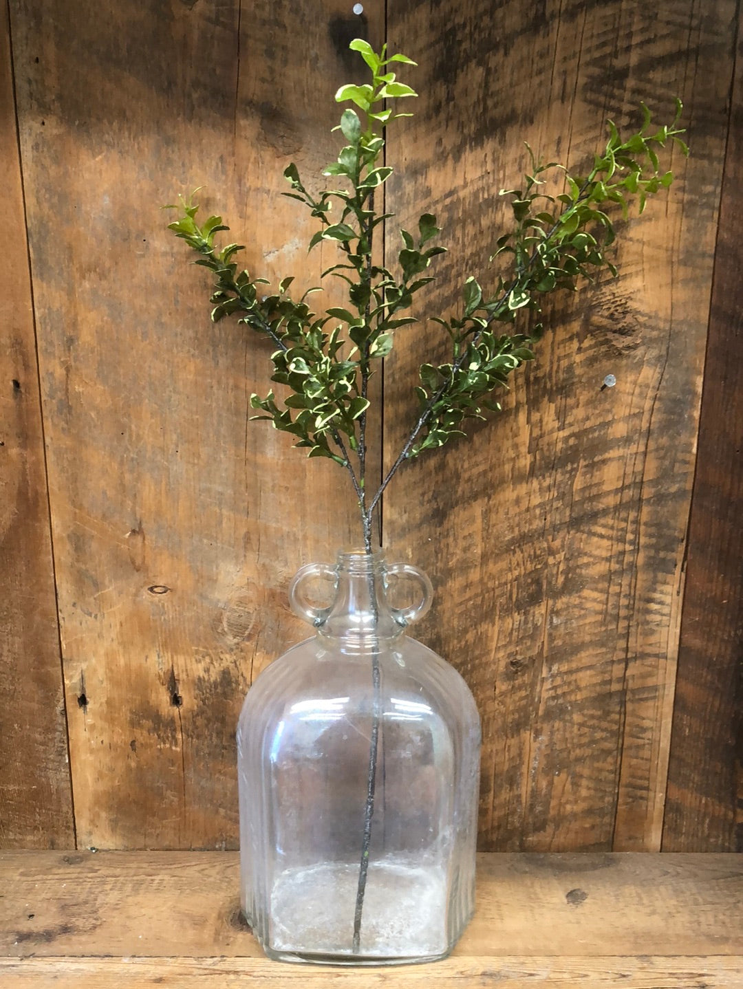 Privet Leaf Spray Variegated Green