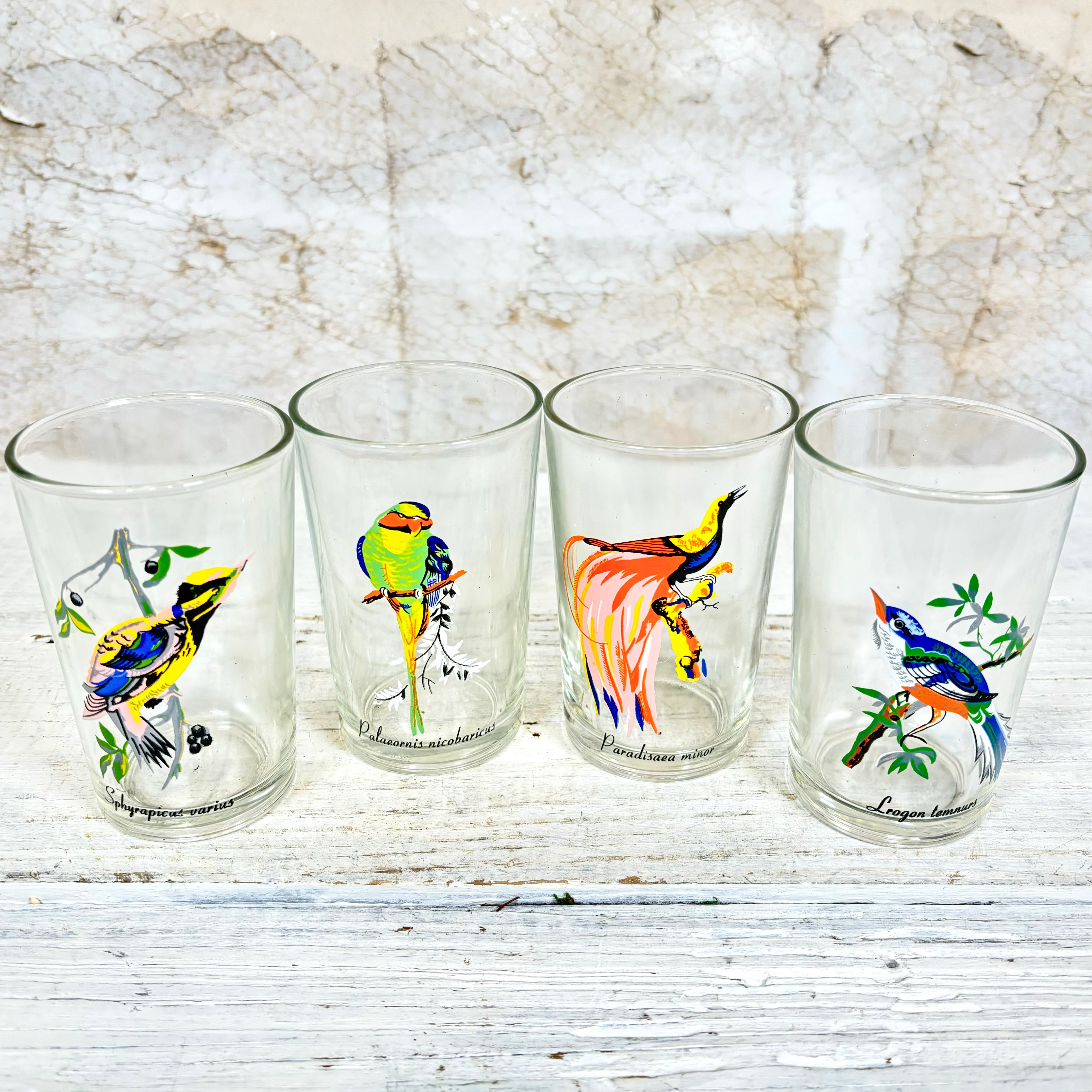 Vintage KIG Malaysia Exotic Bird Glasses Set of Four