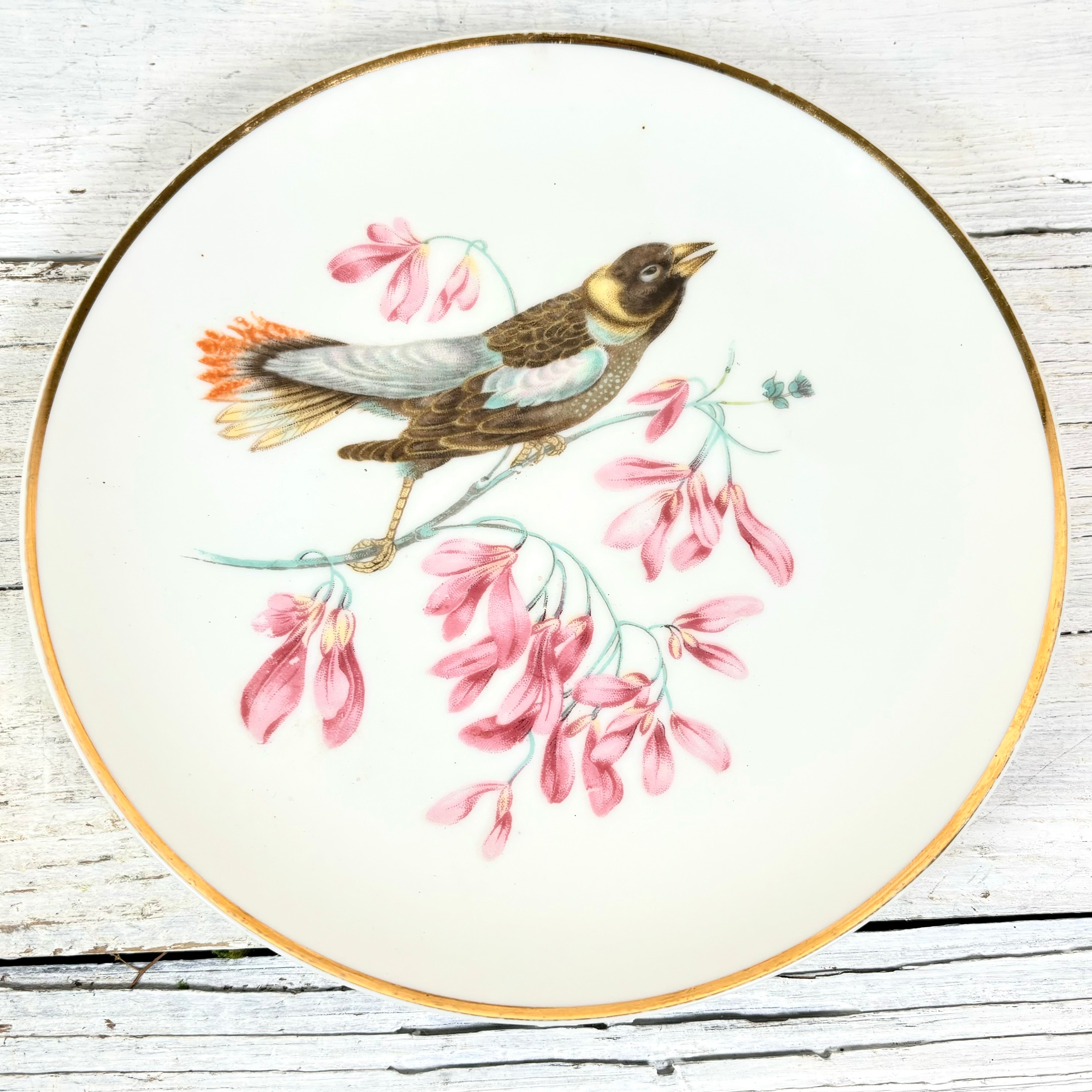 Vintage LM Royal Halsey Porcelain Yellow and Blue Bird Plate