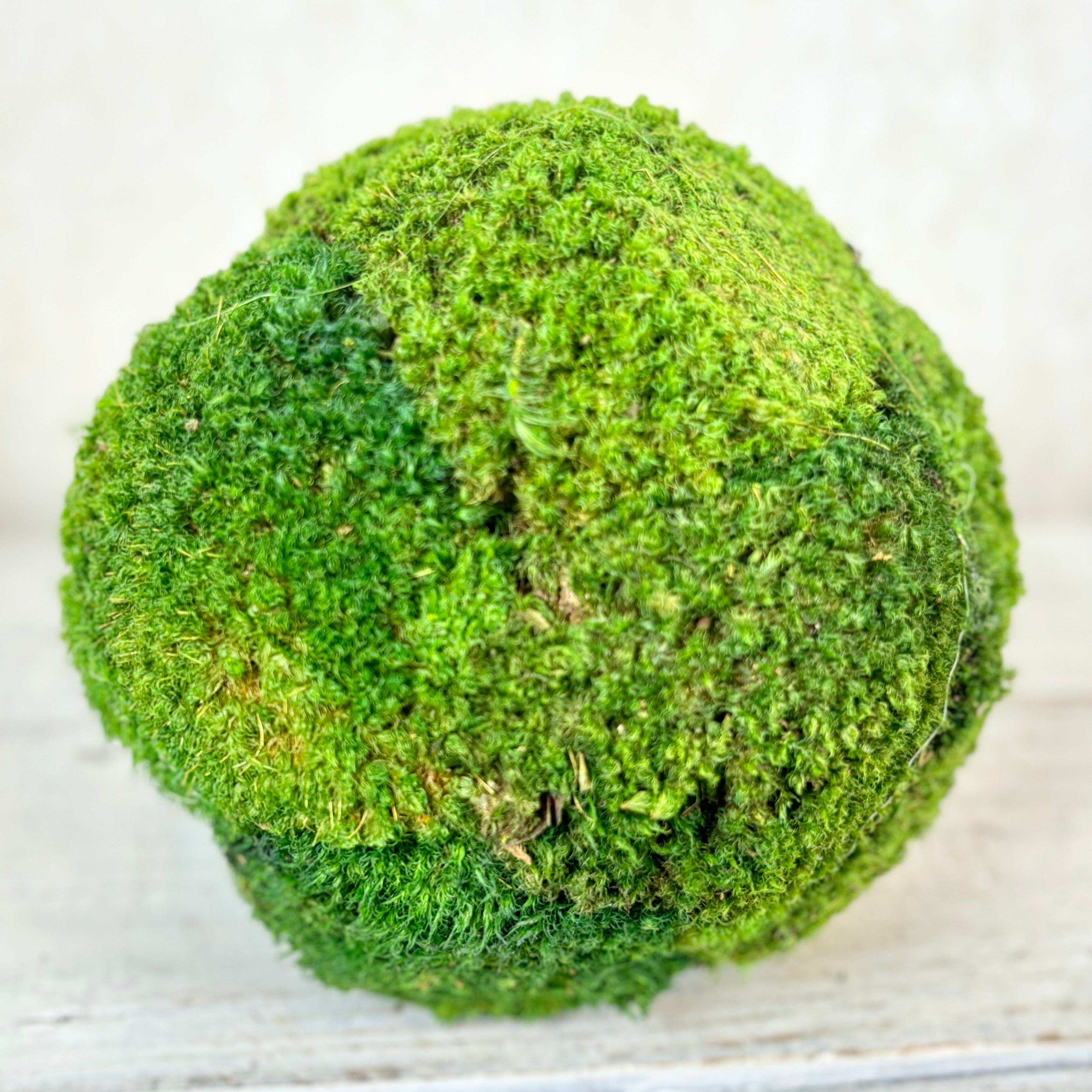 Moss Green Ball Large