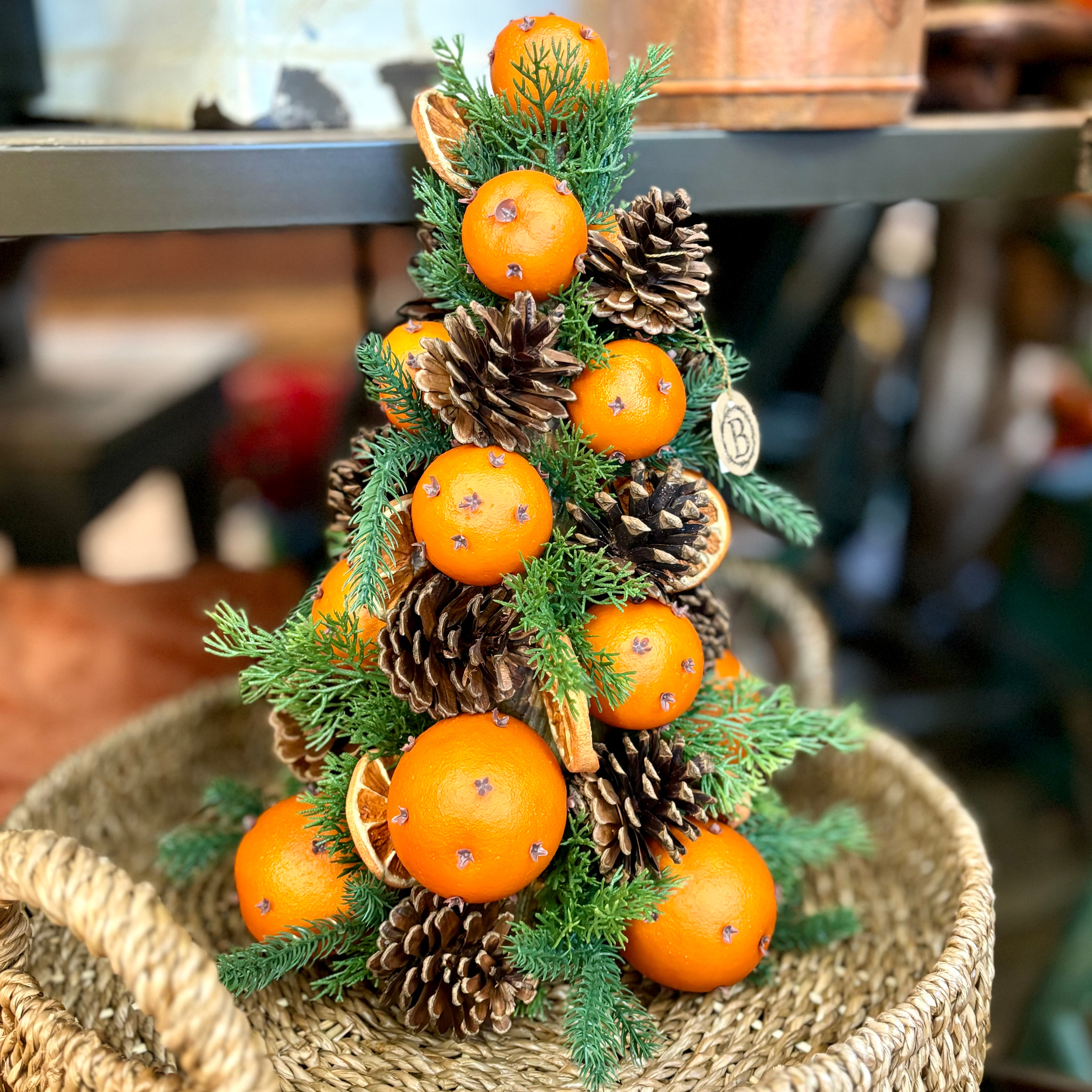 Pomander Pinecone Tree