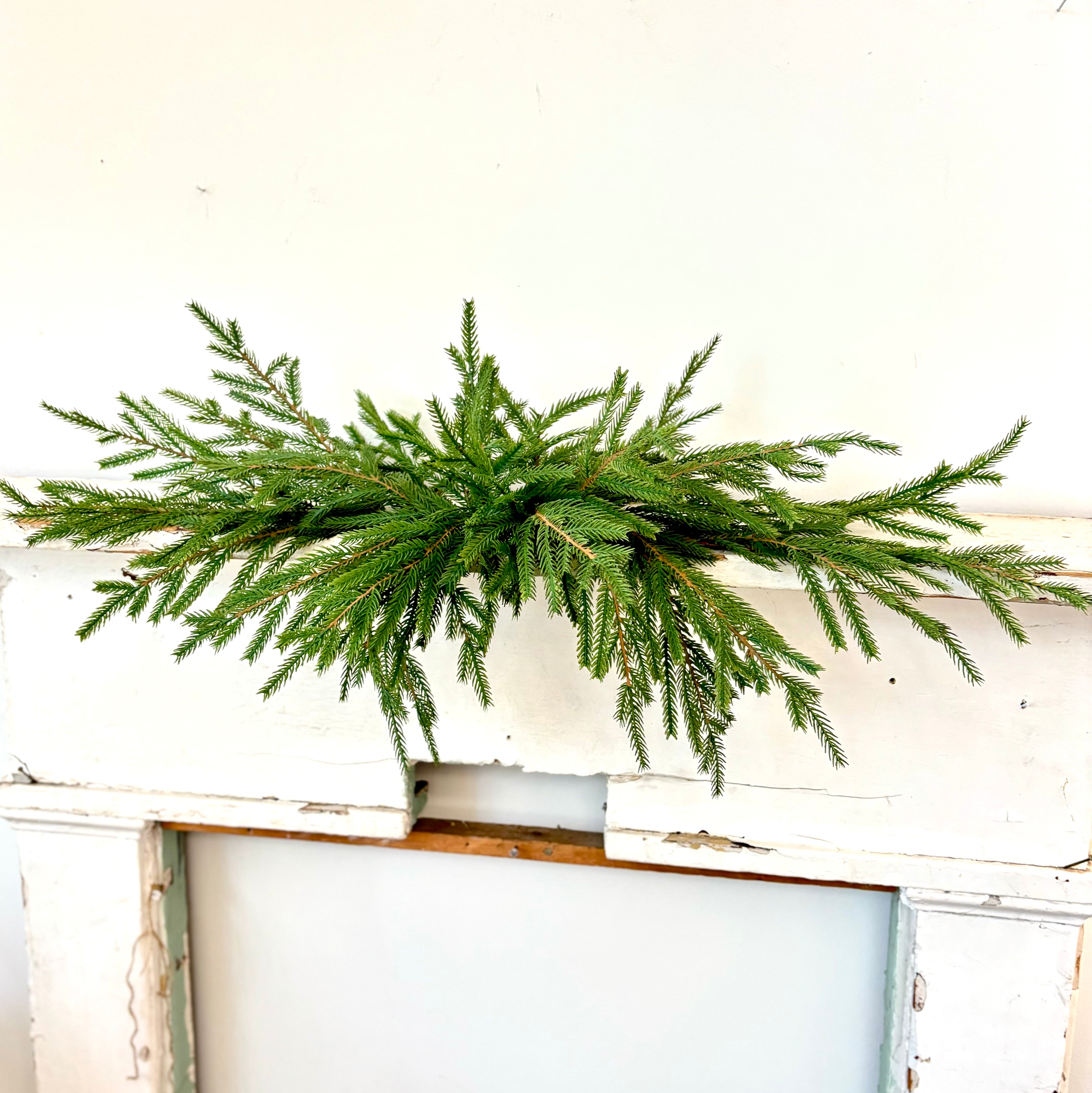 32"L Norfolk Pine Swag