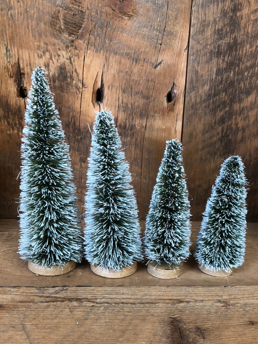 Boxed Set of Four Sisal Bottle Brush Trees with Snow