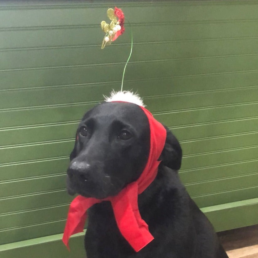 Holiday Dog Mistletoe Headband