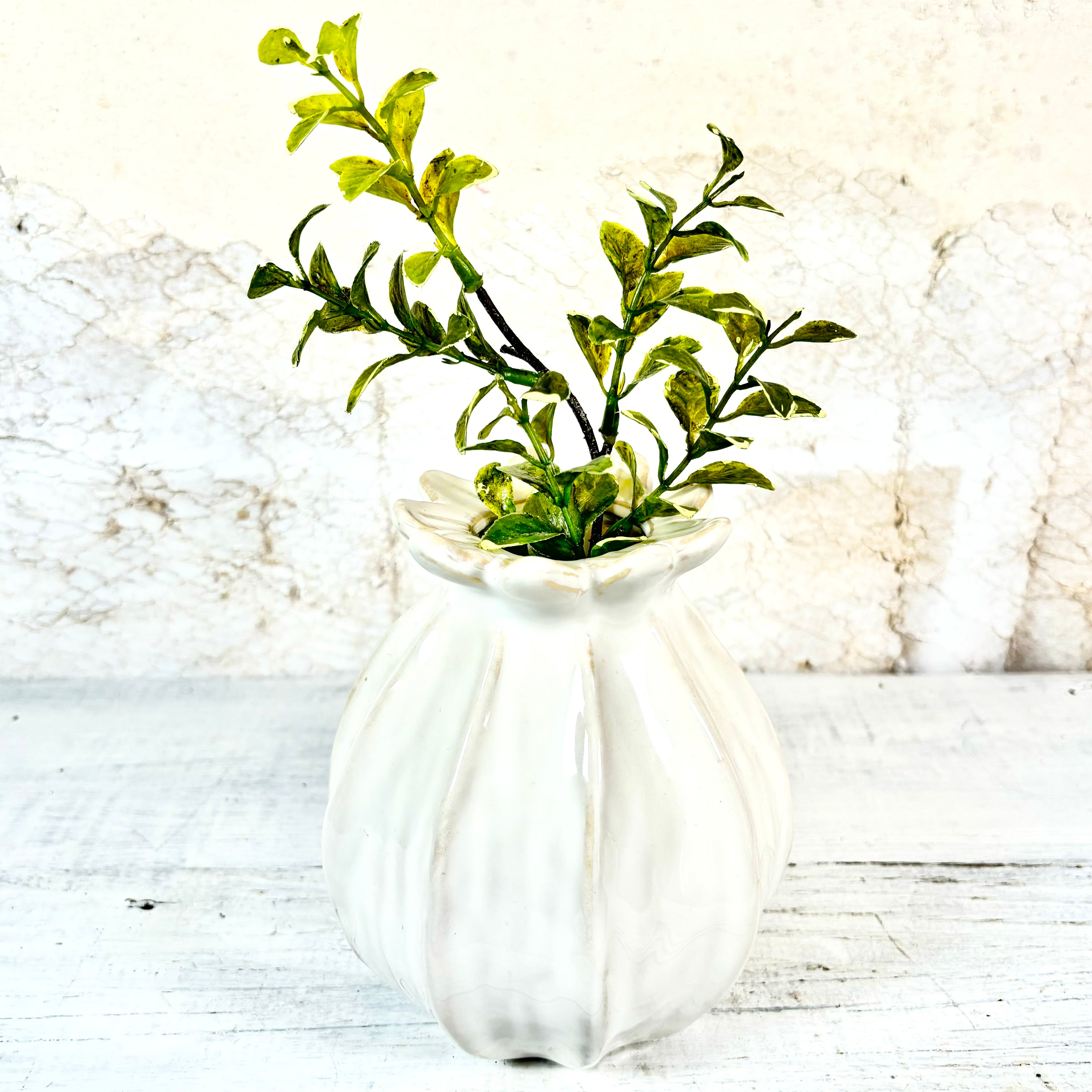 Rosemead White Ceramic Vase