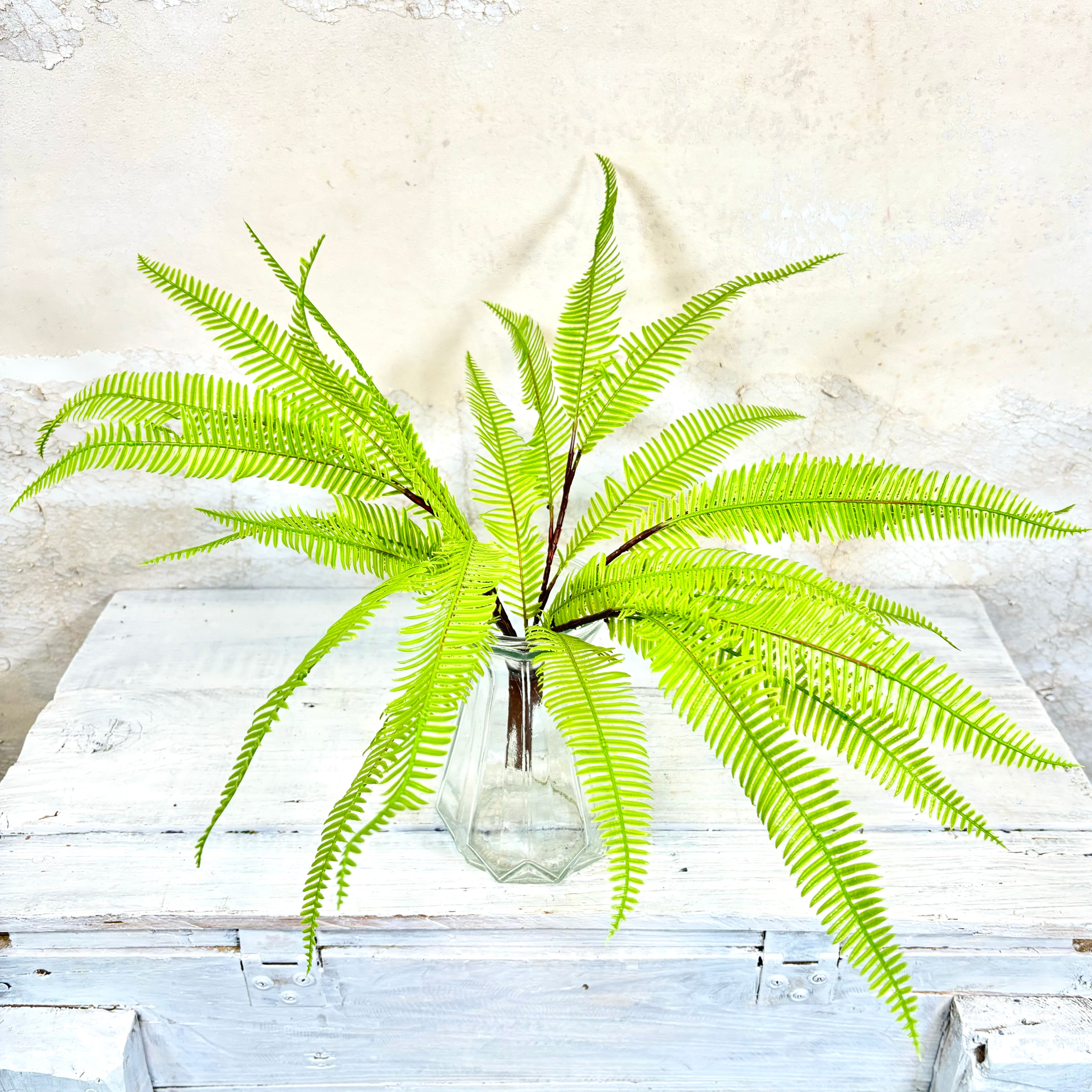 Feather Fern Bush Lime Green Soft Touch