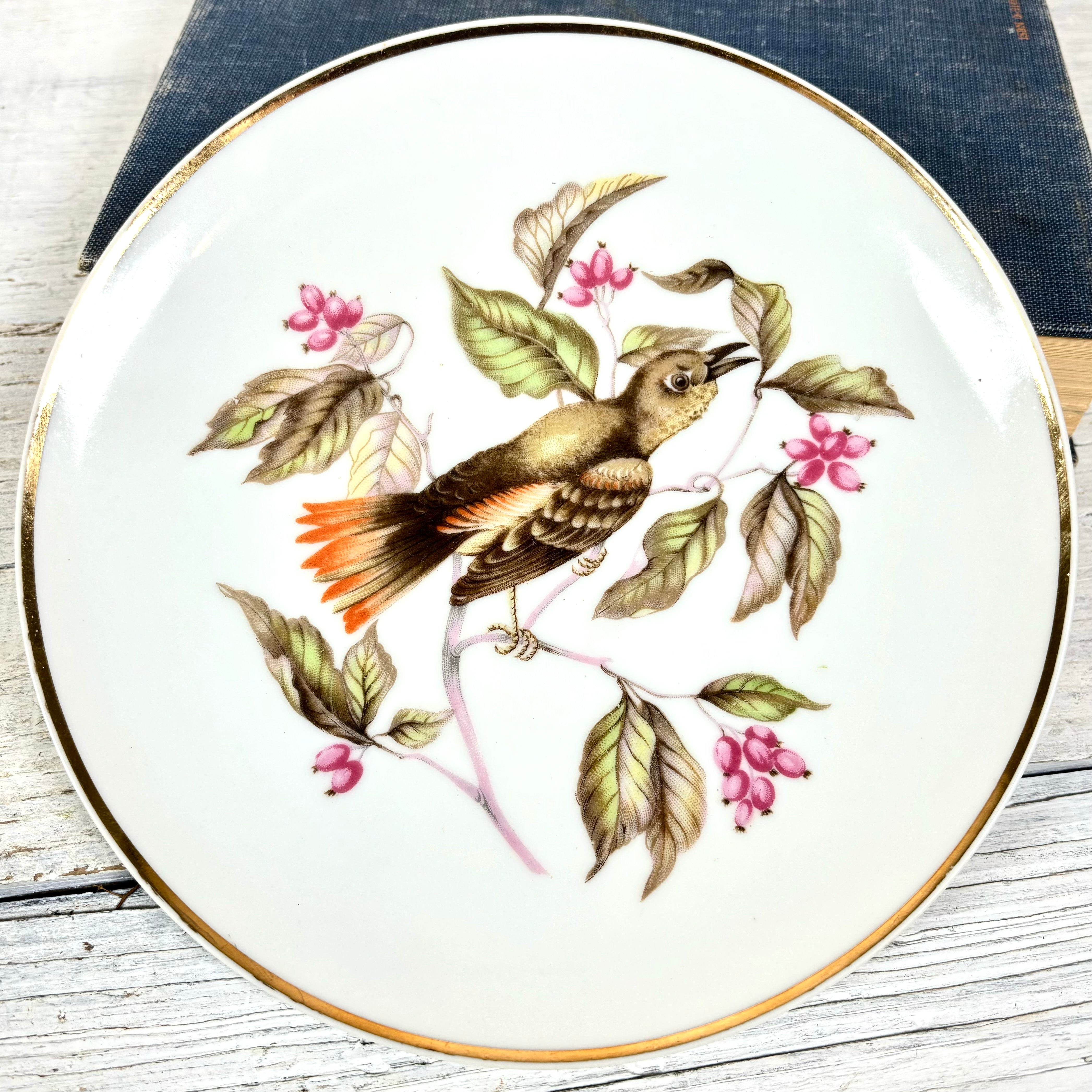 Vintage LM Royal Halsey Porcelain Green and Orange Bird Plate