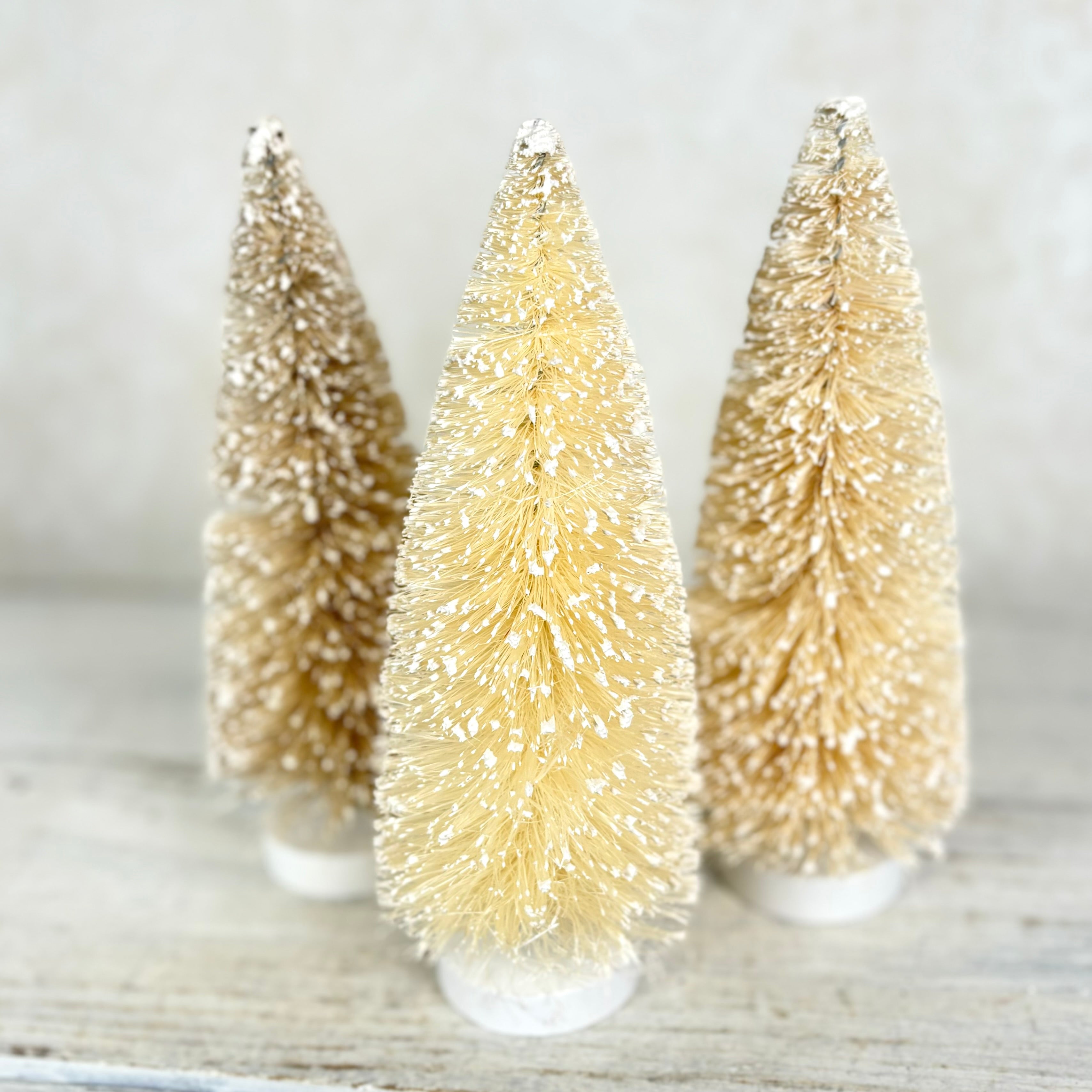 Frosted Natural Bottle Brush Trees Box of Three