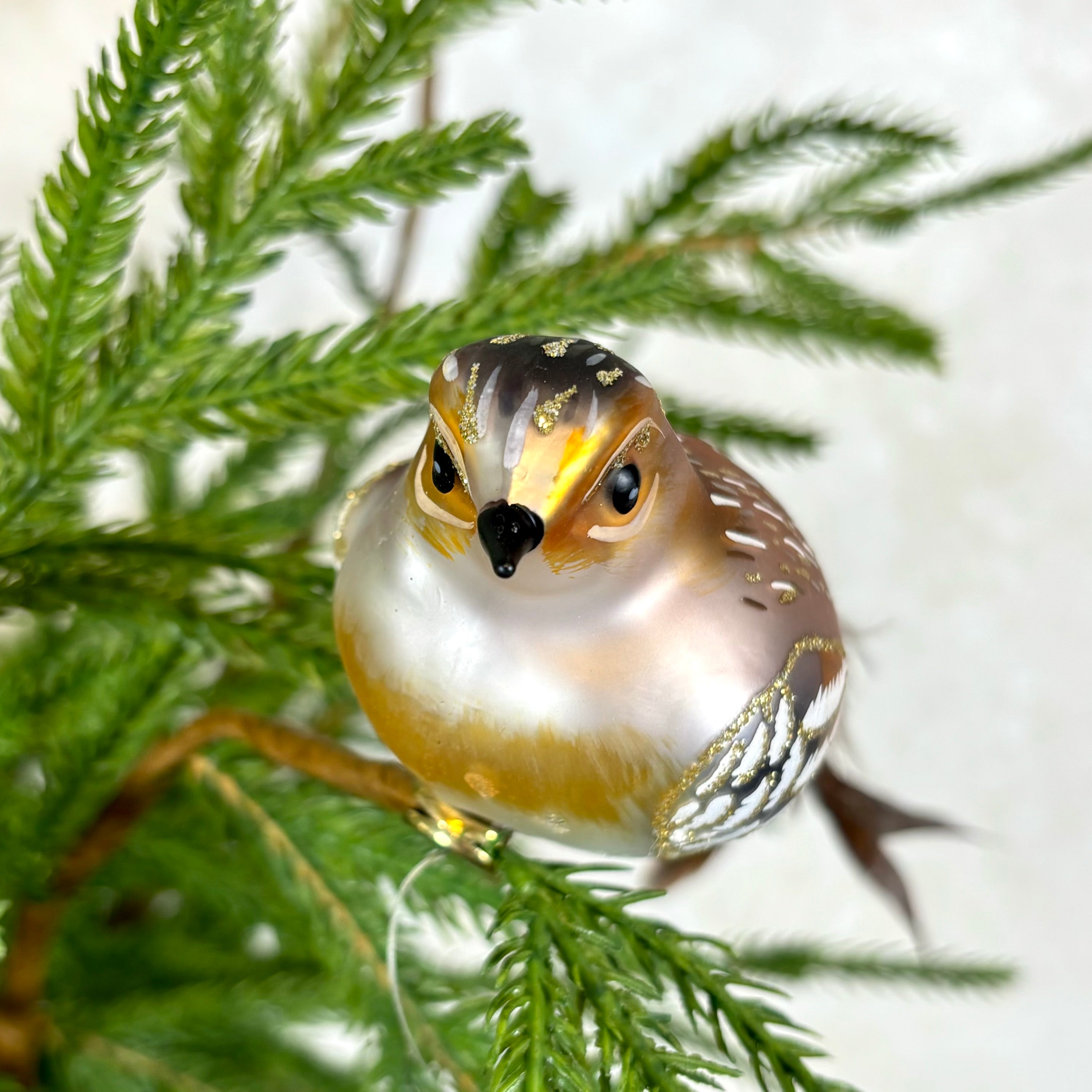 Clip-On Feathered Tail Bird Ornament