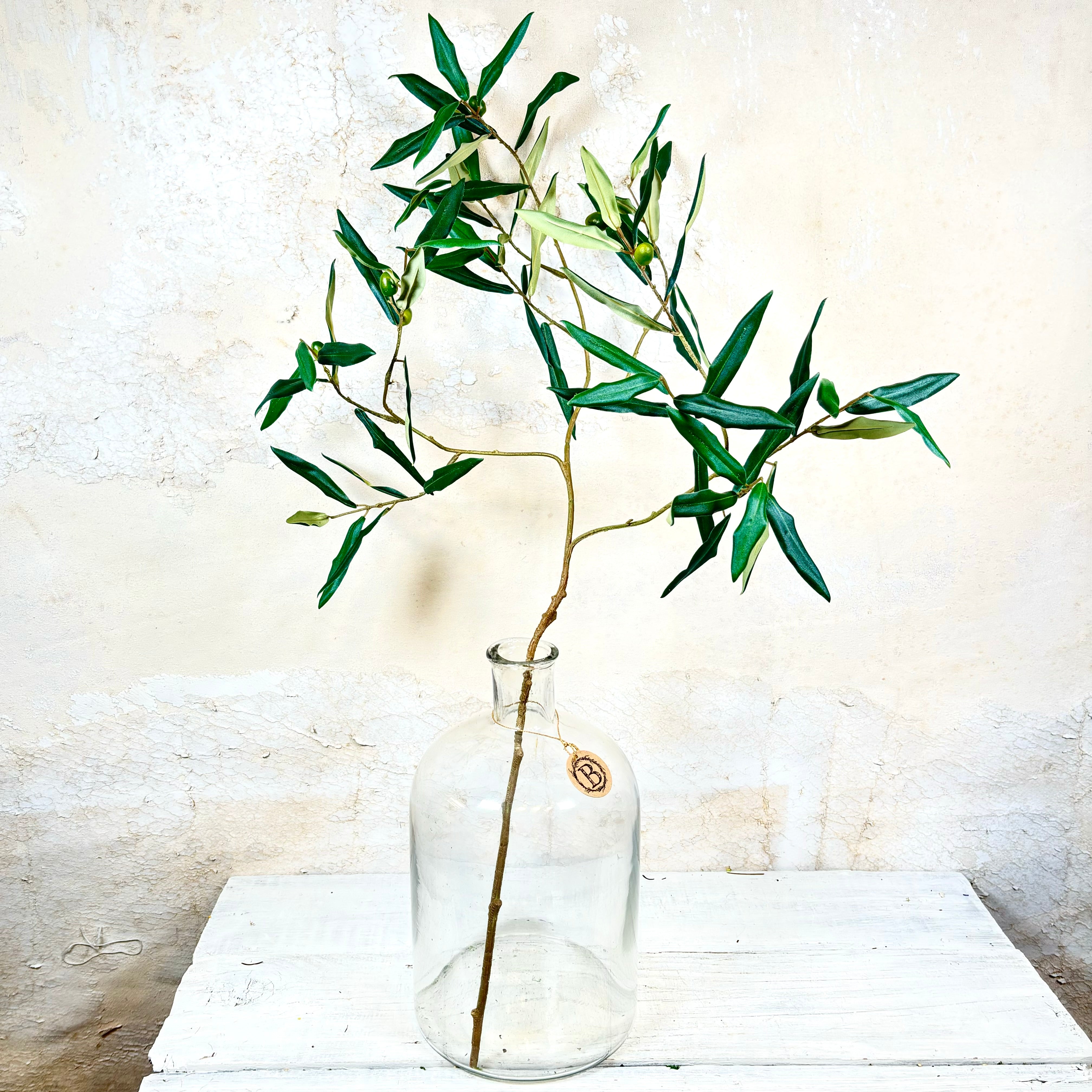 Italian Olive Spray Stem