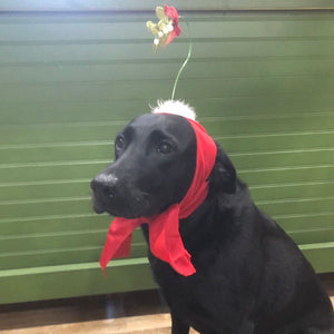 Holiday Dog Mistletoe Headband