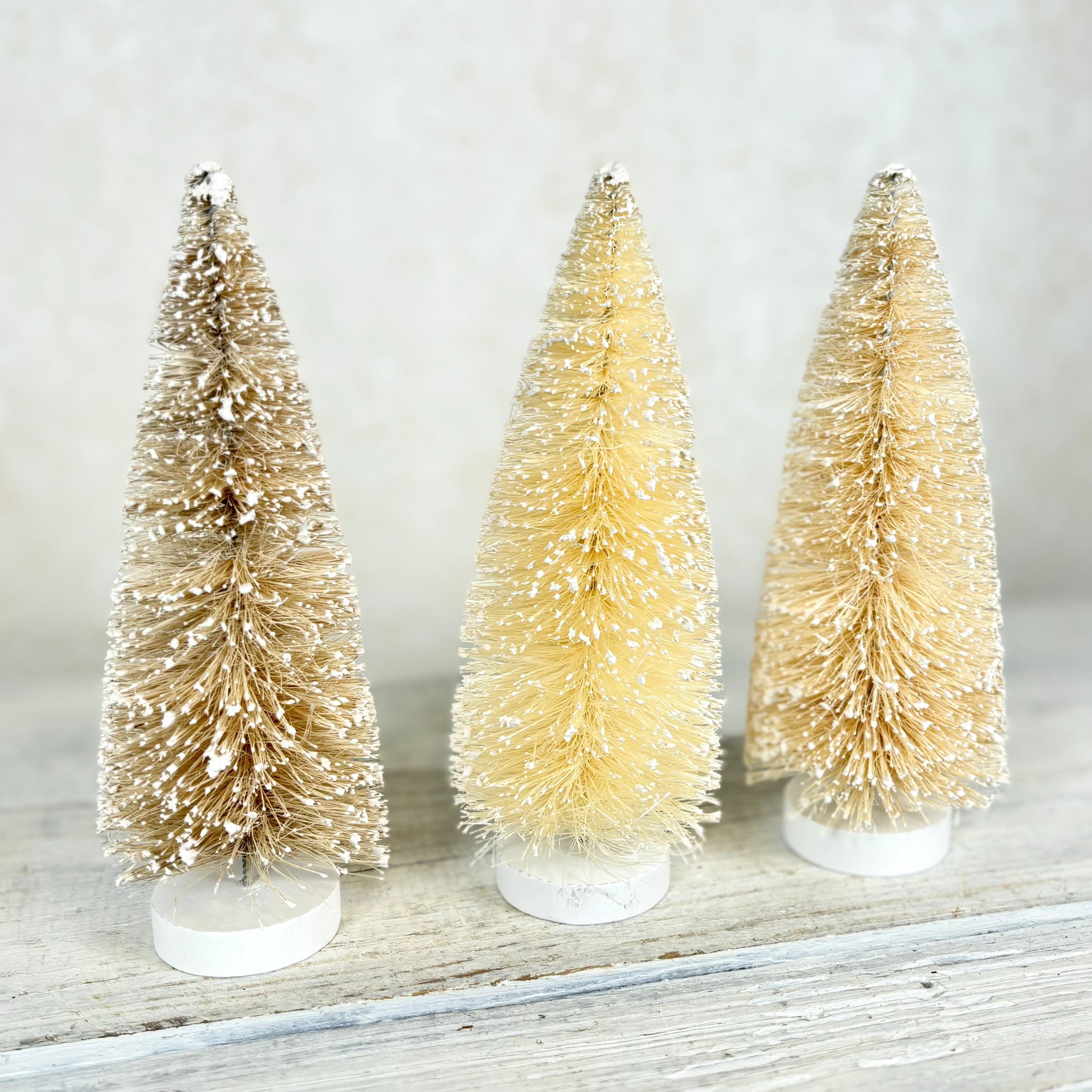 Frosted Natural Bottle Brush Trees Box of Three