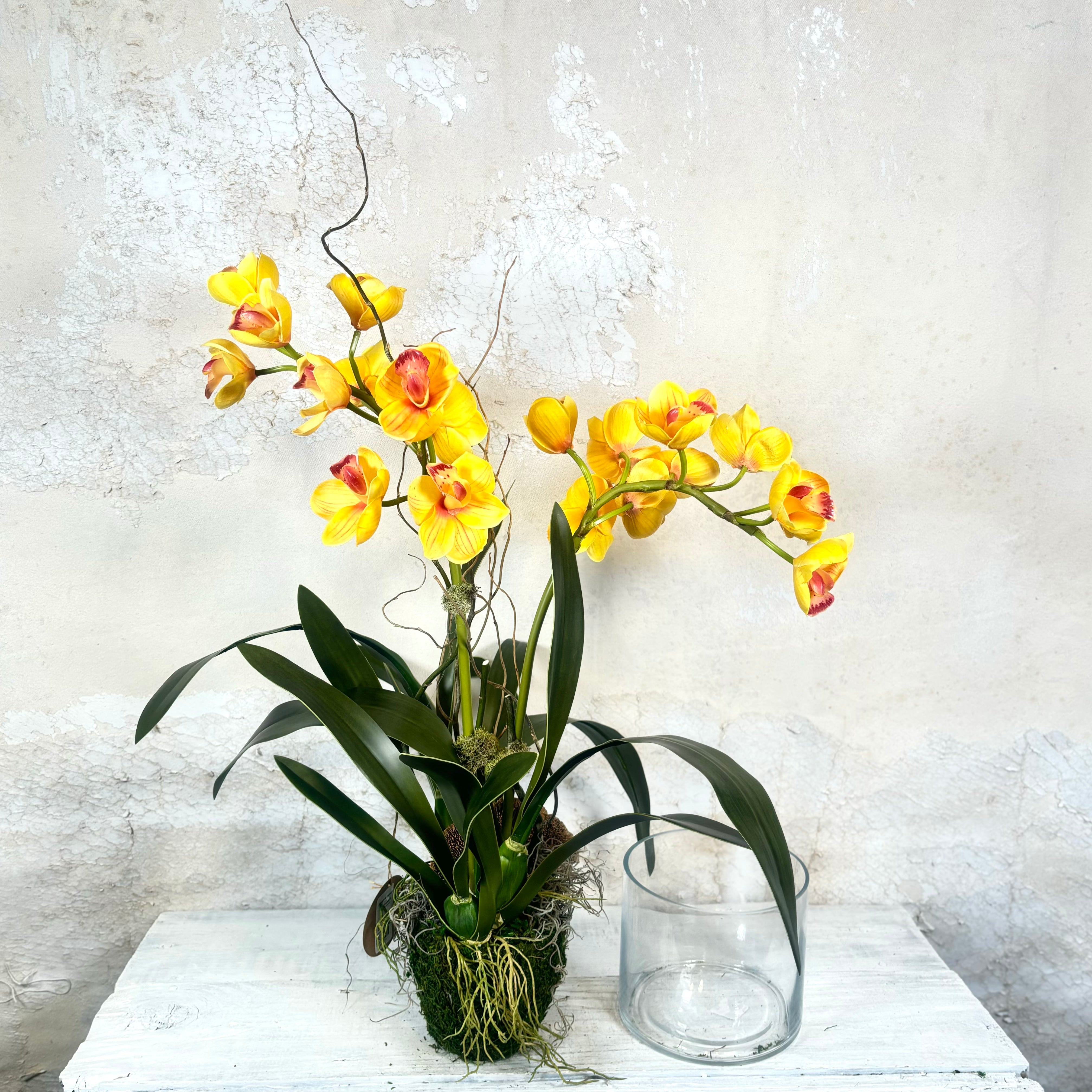 Double Yellow Cymbidium Orchid Drop In