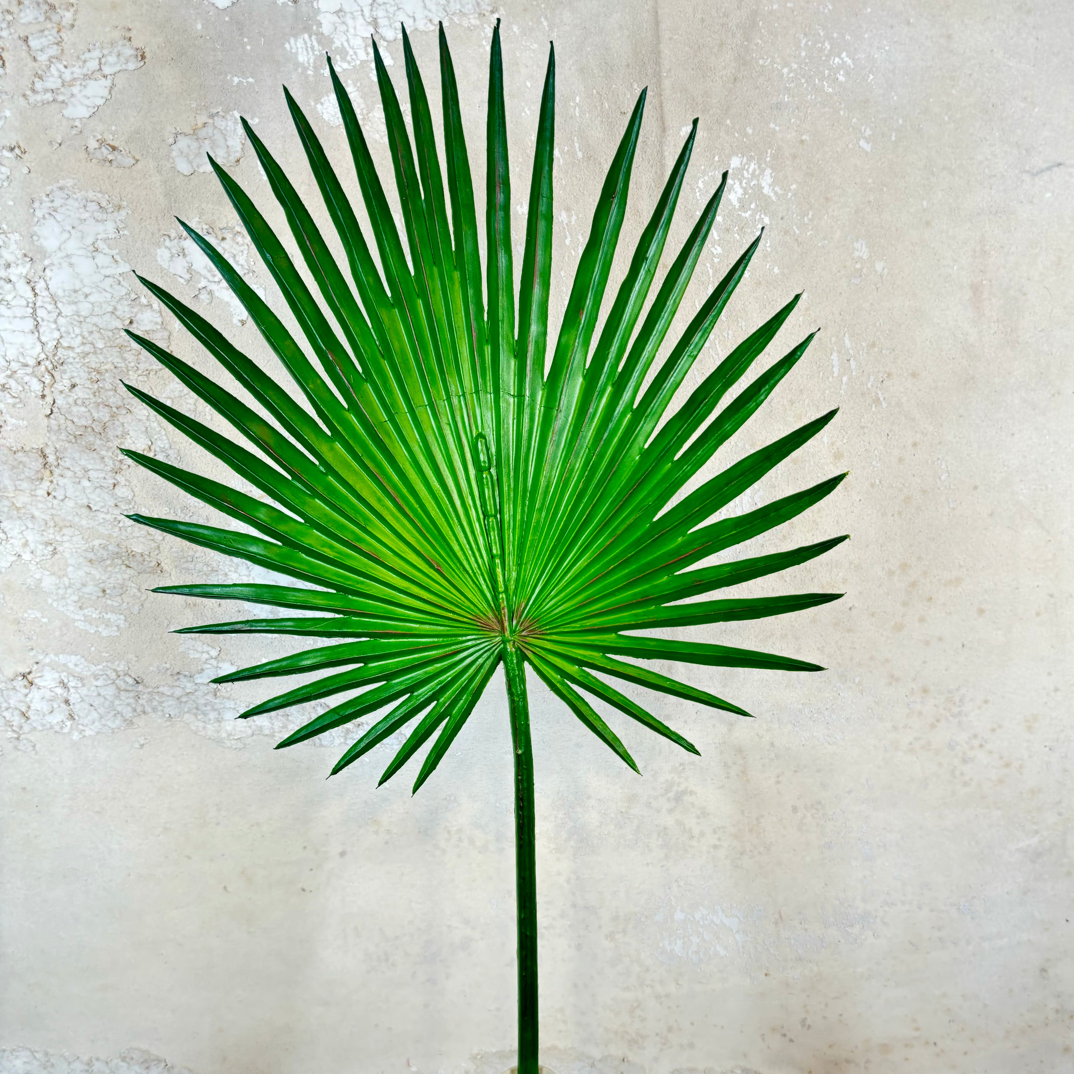 Fan Palm Stem 33"L