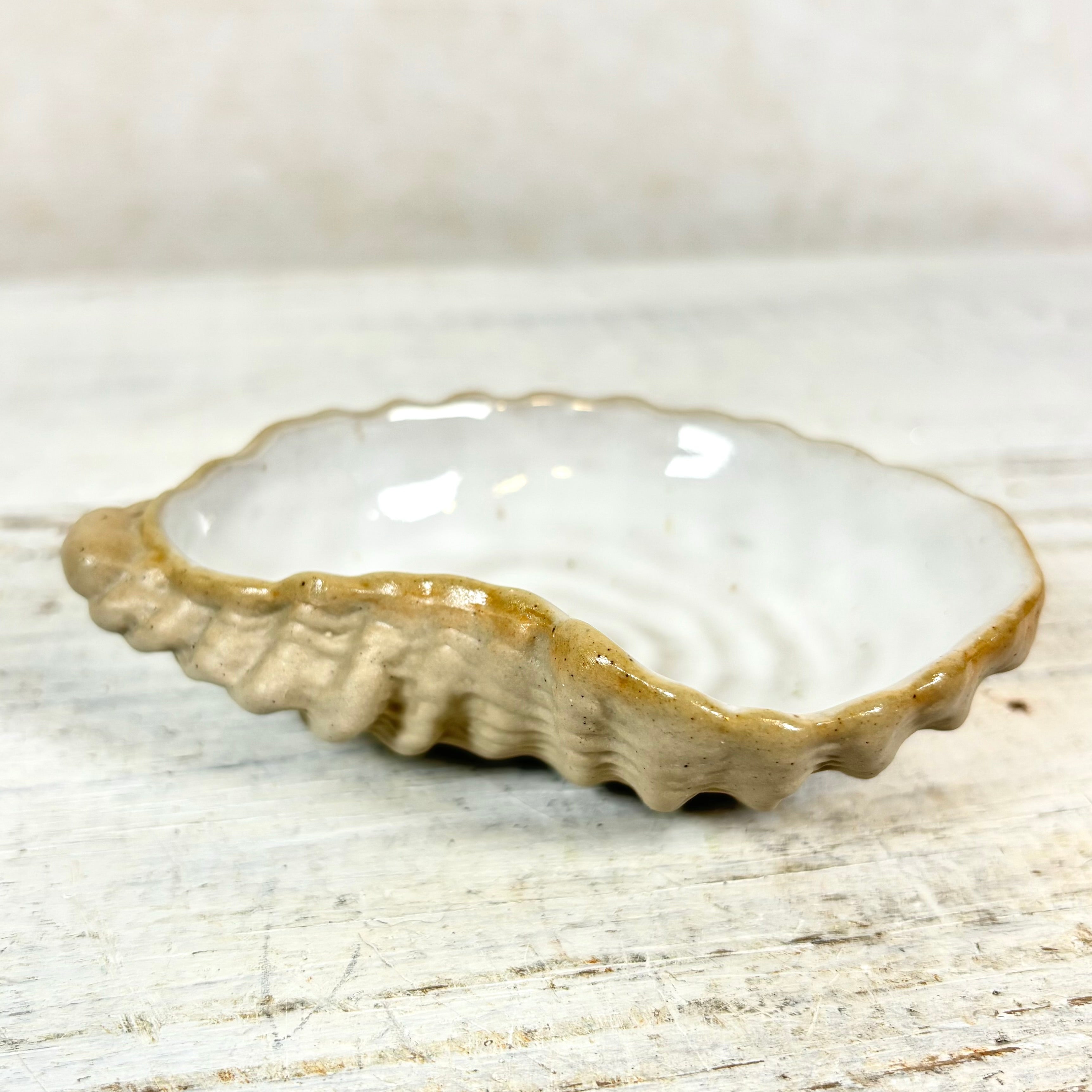 Stoneware White Shell Ostreidae Dish