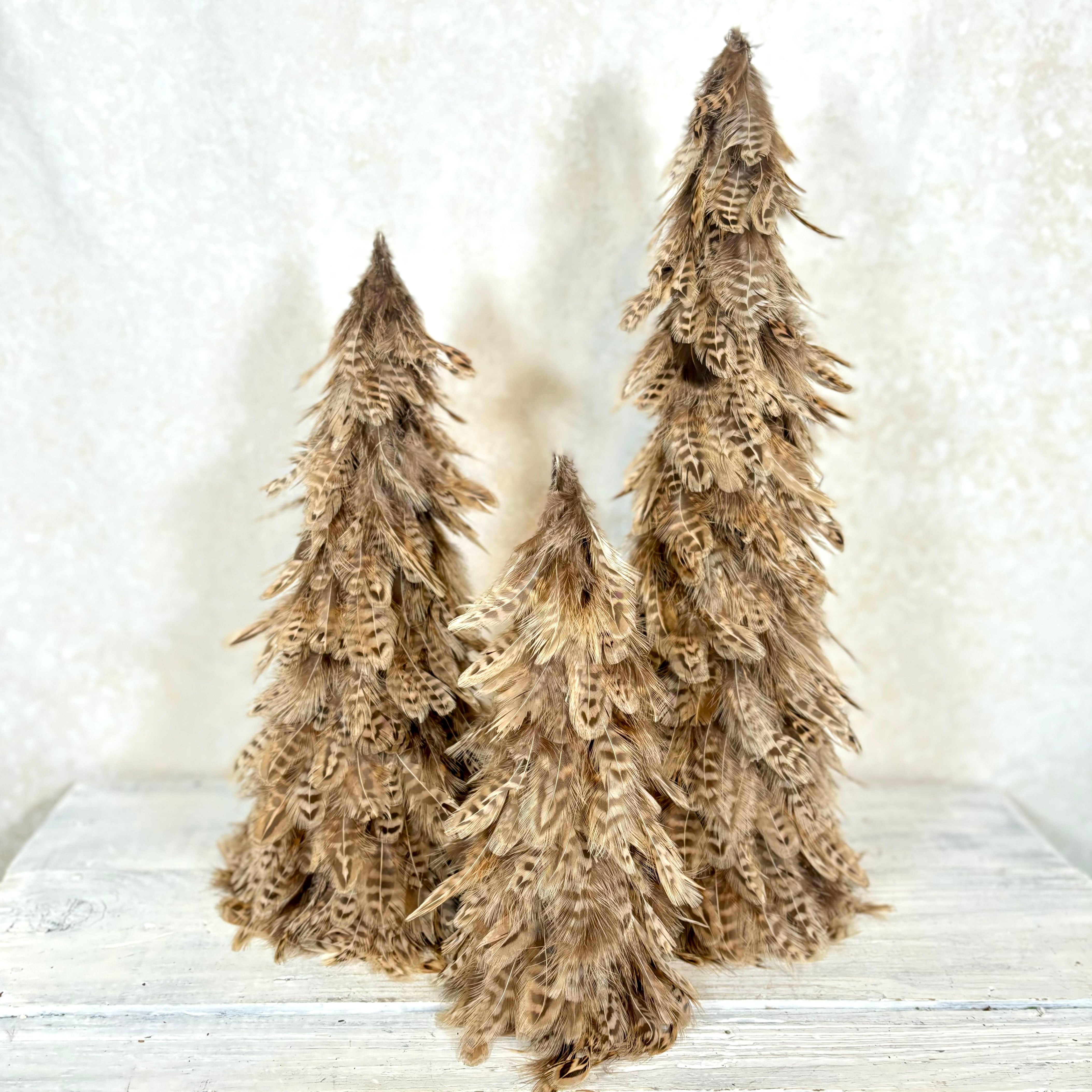 Natural Feather Cone Tree with Dark Brown Stripes Large