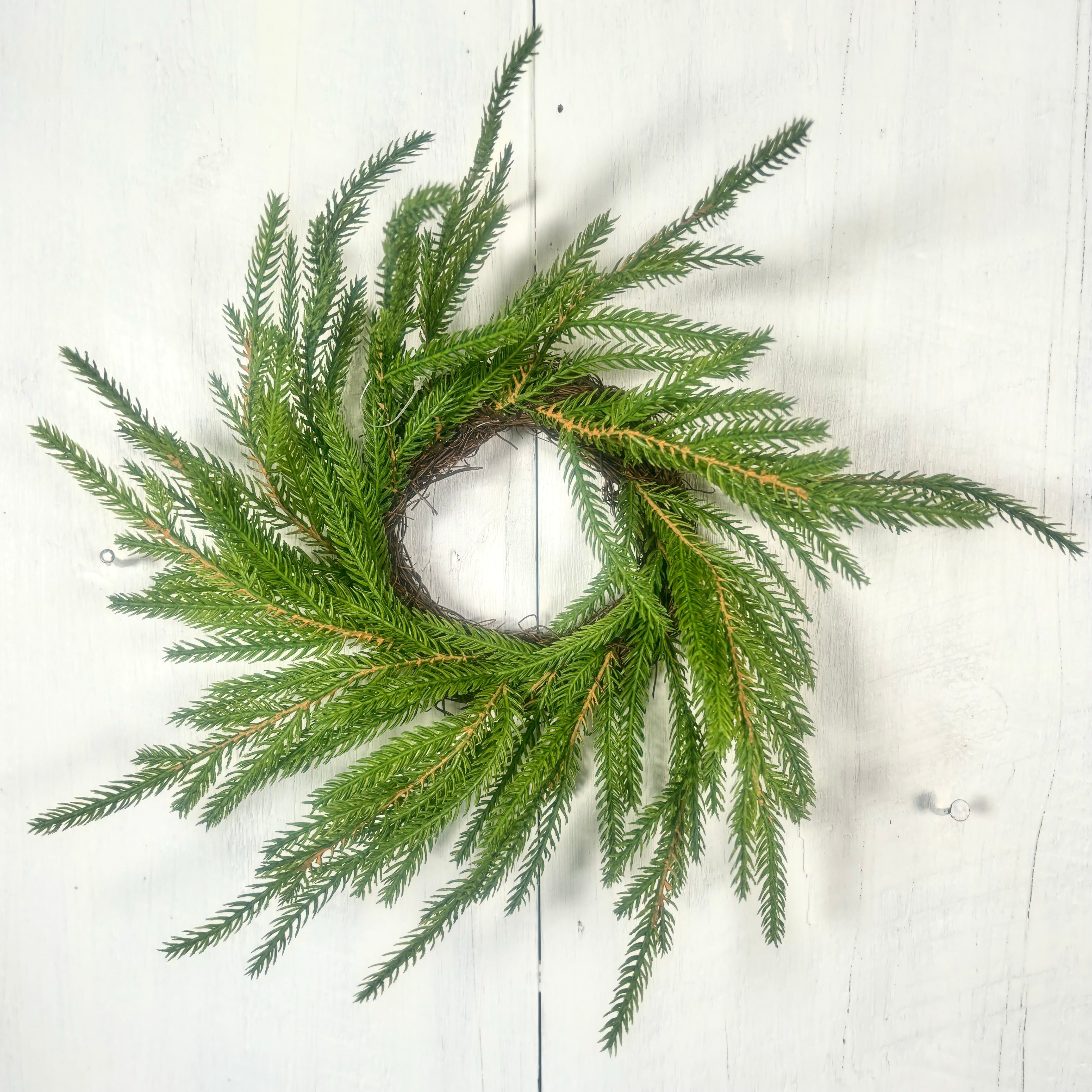 Norfolk Pine Wreath Small