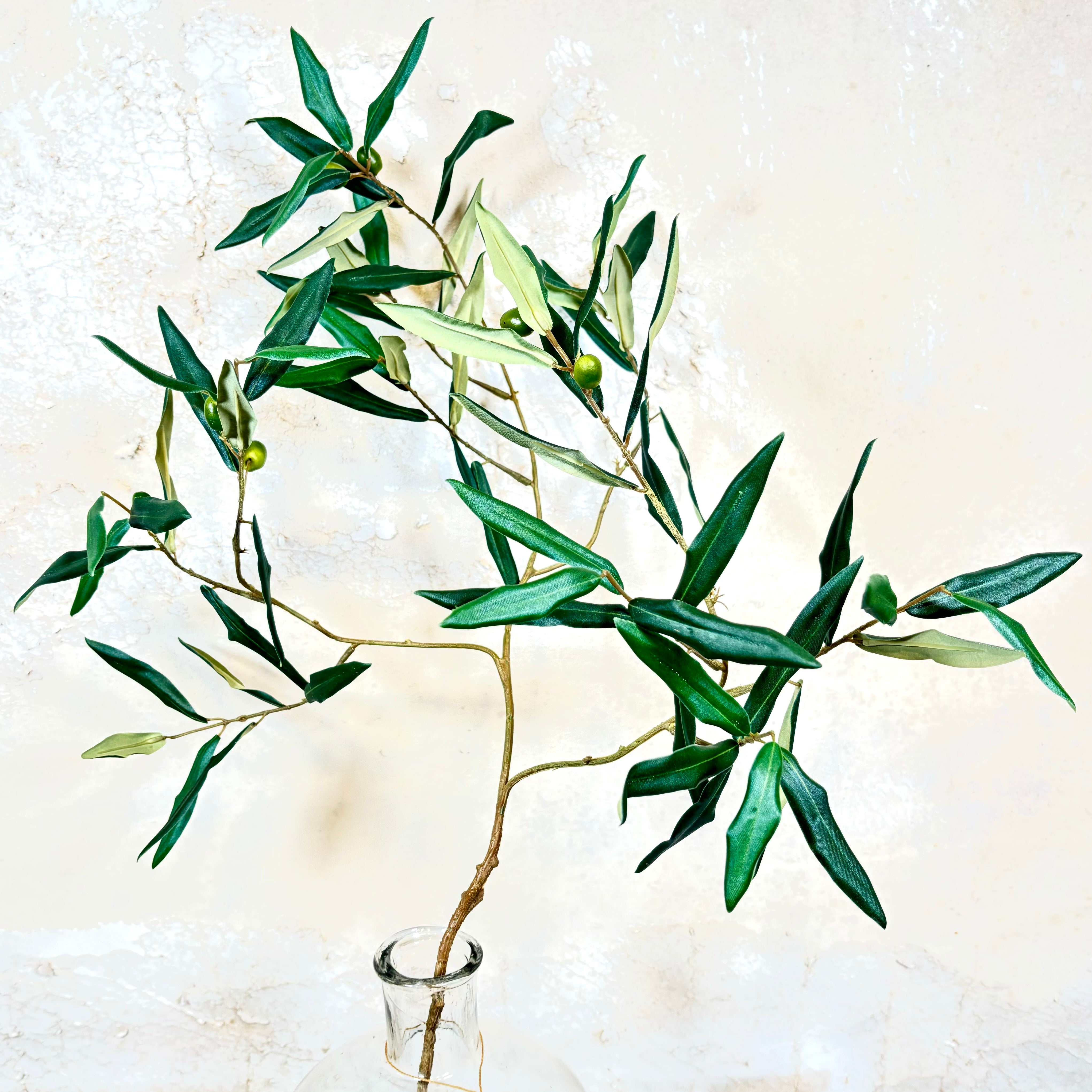 Italian Olive Spray Stem