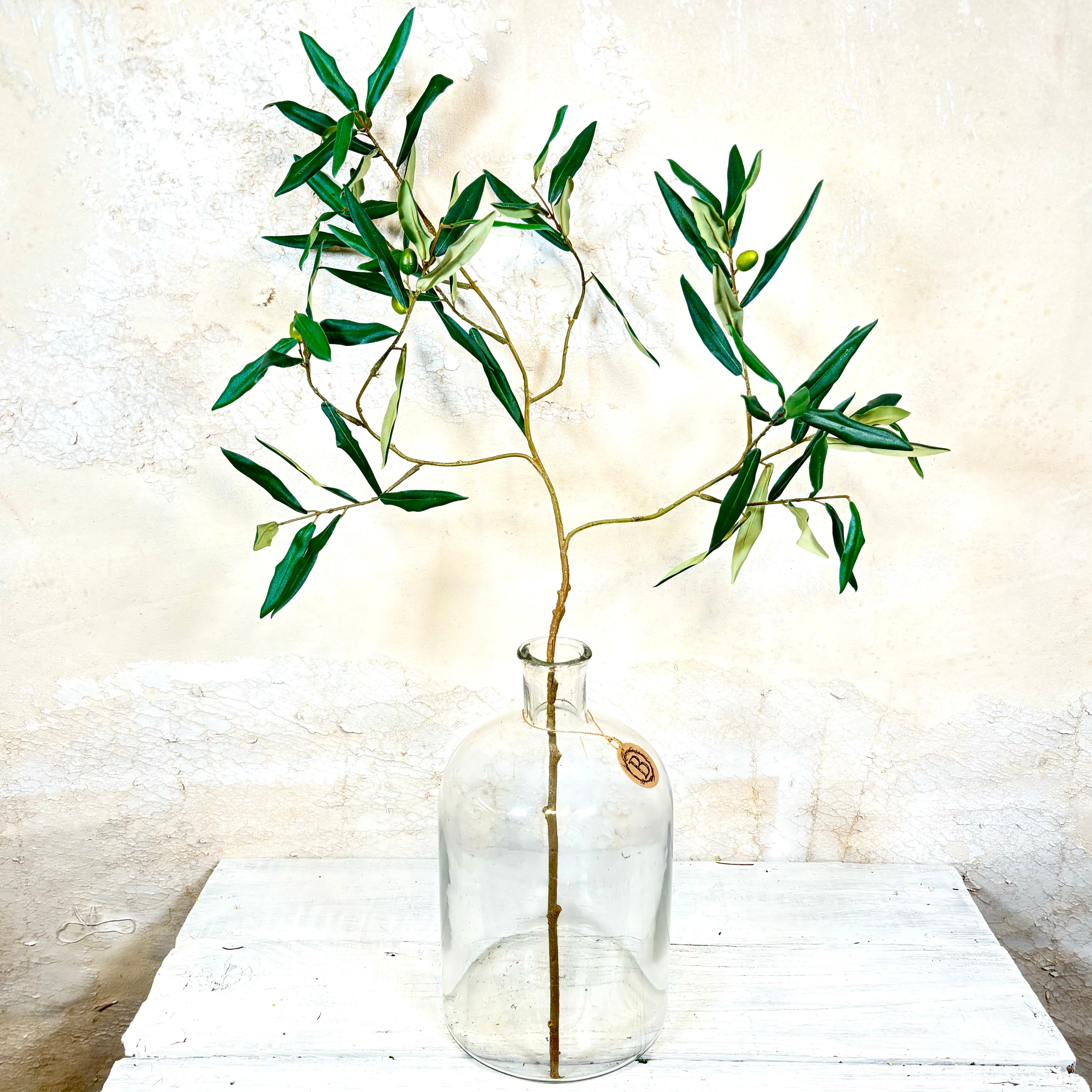 Italian Olive Spray Stem