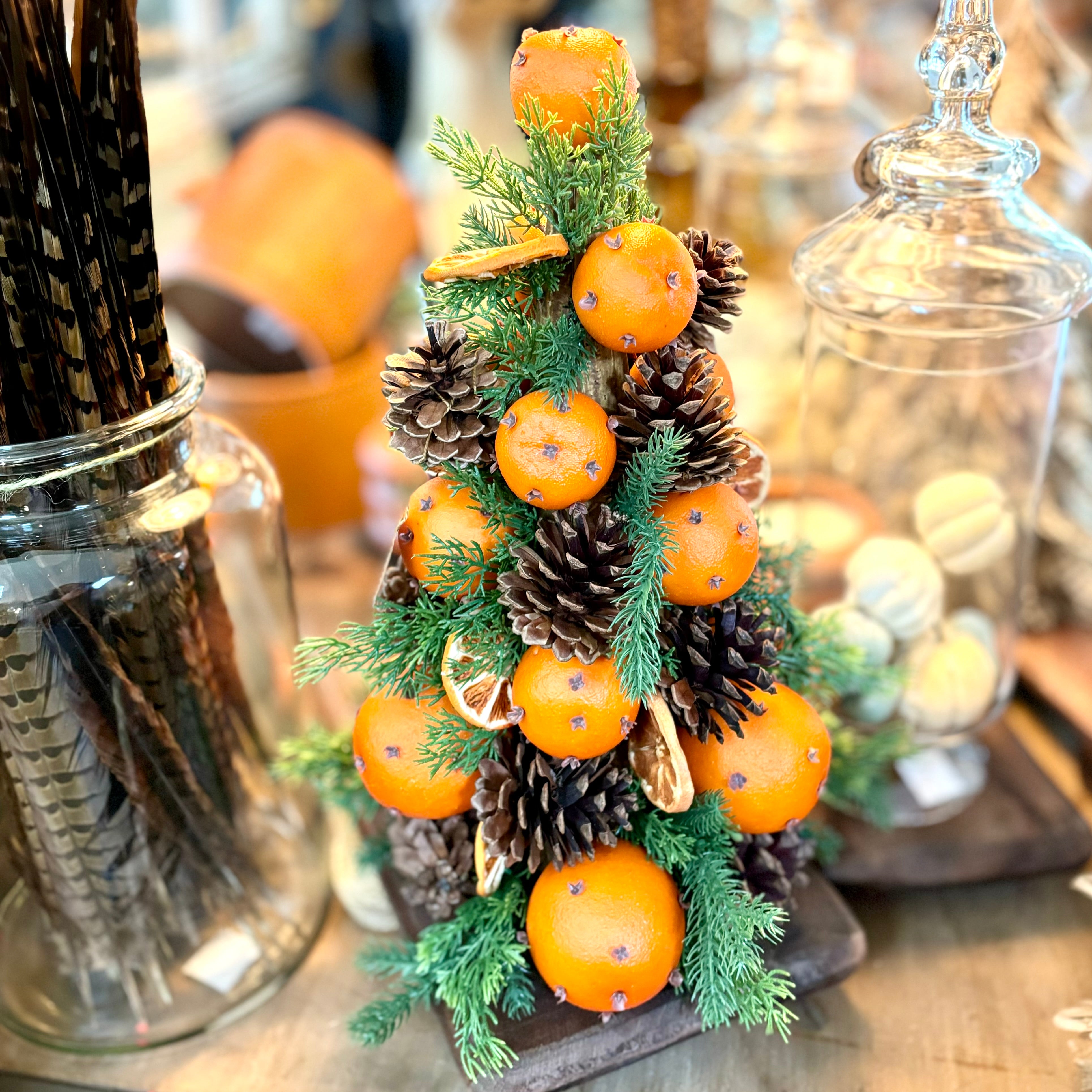 Pomander Pinecone Tree