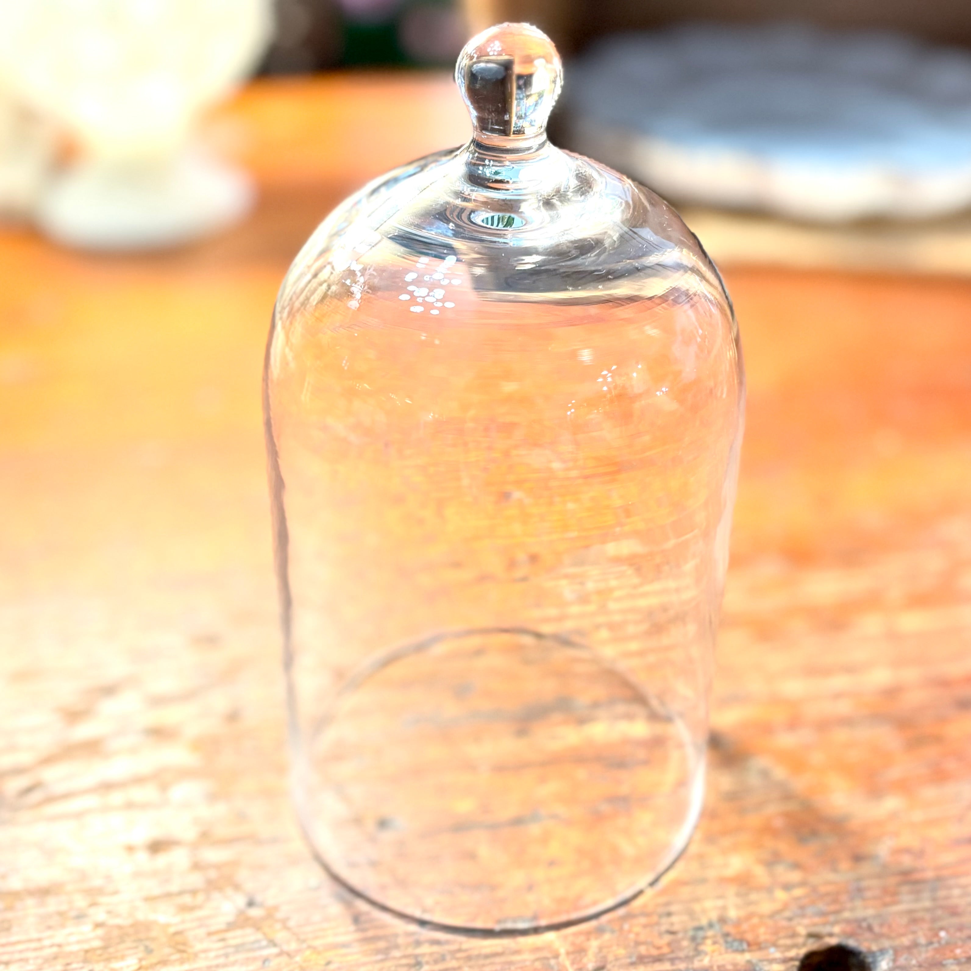 Small Glass Cloche