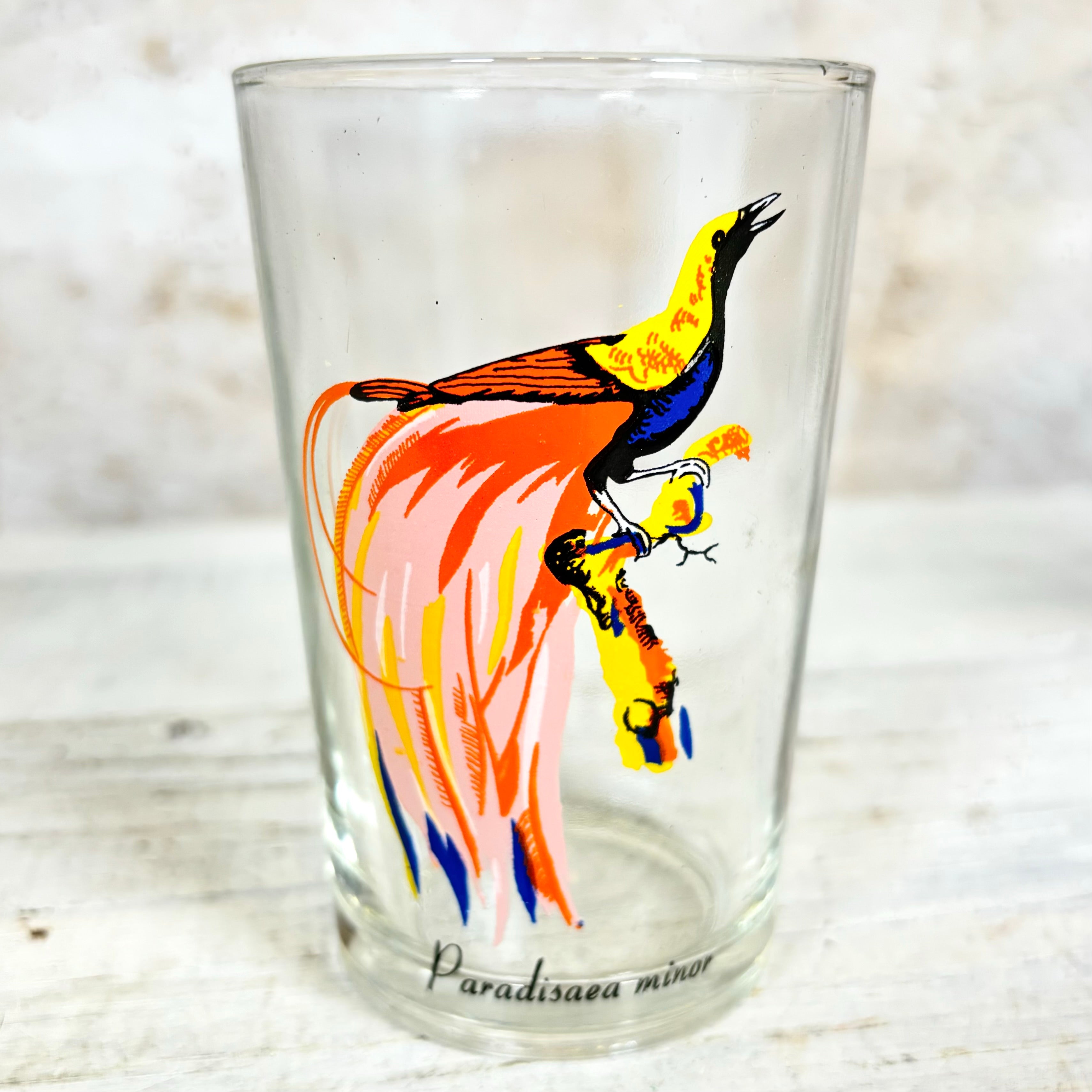 Vintage KIG Malaysia Exotic Bird Glasses Set of Four