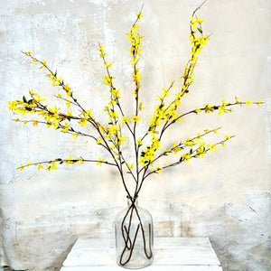 Forsythia Branch Yellow