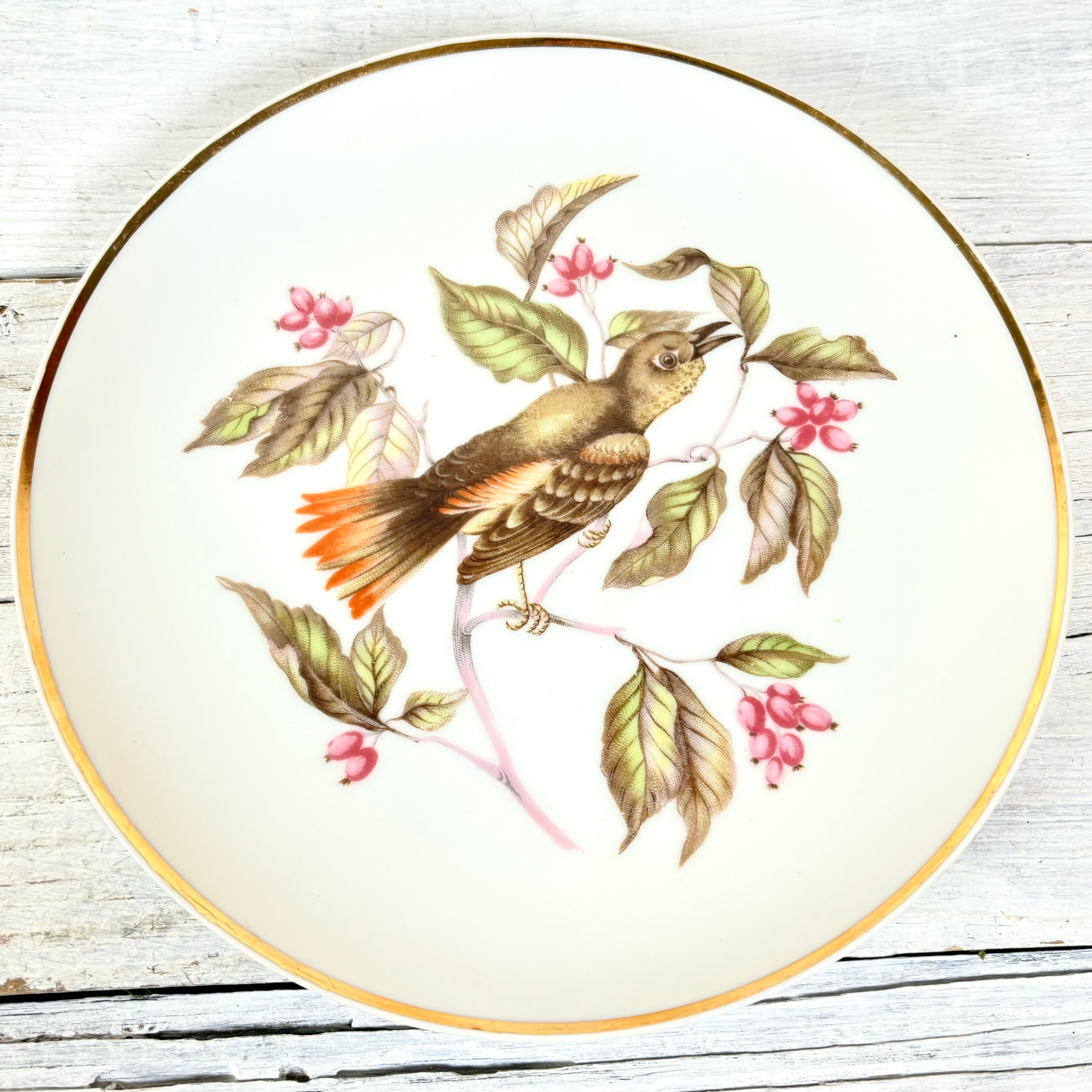 Vintage LM Royal Halsey Porcelain Green and Orange Bird Plate