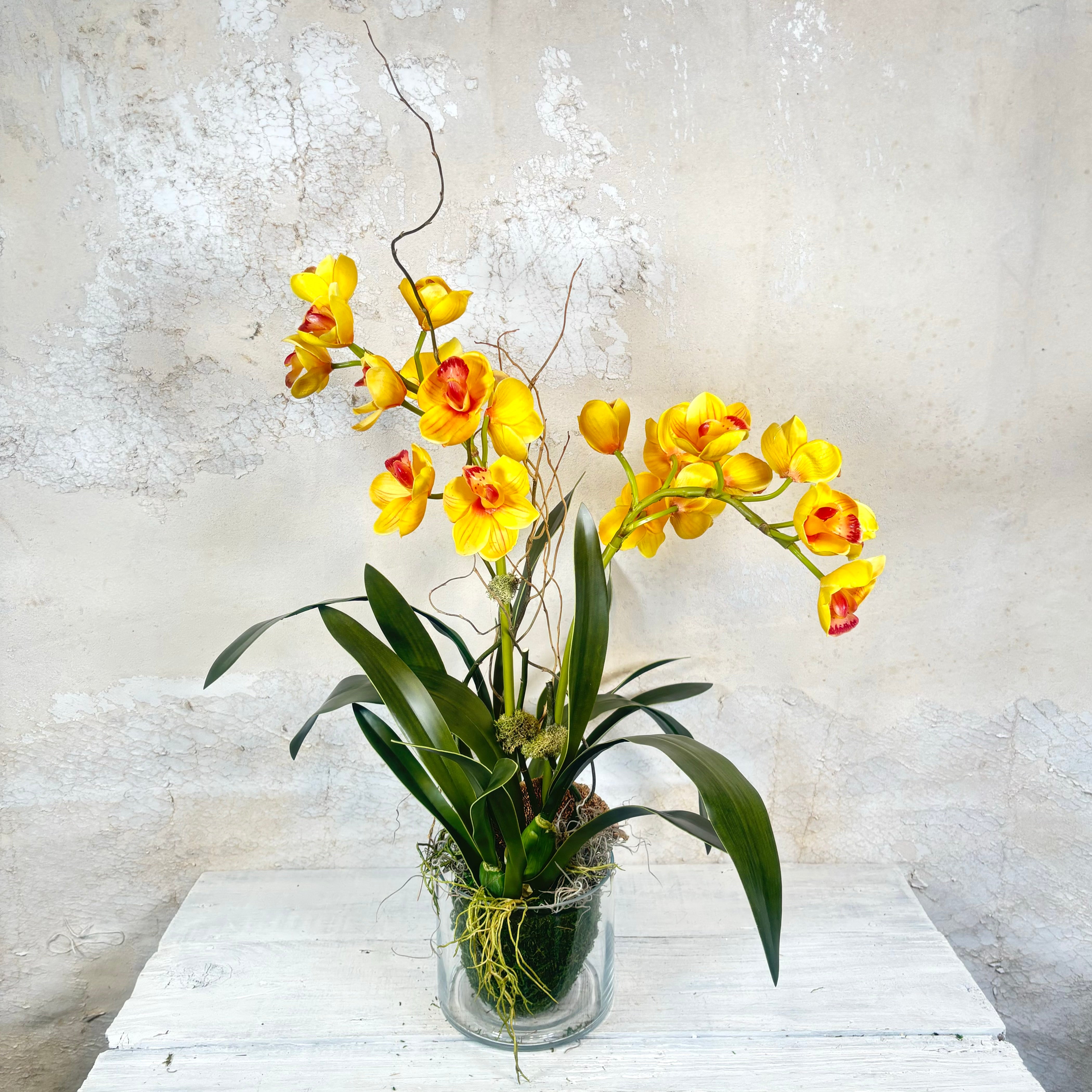 Double Yellow Cymbidium Orchid Drop In