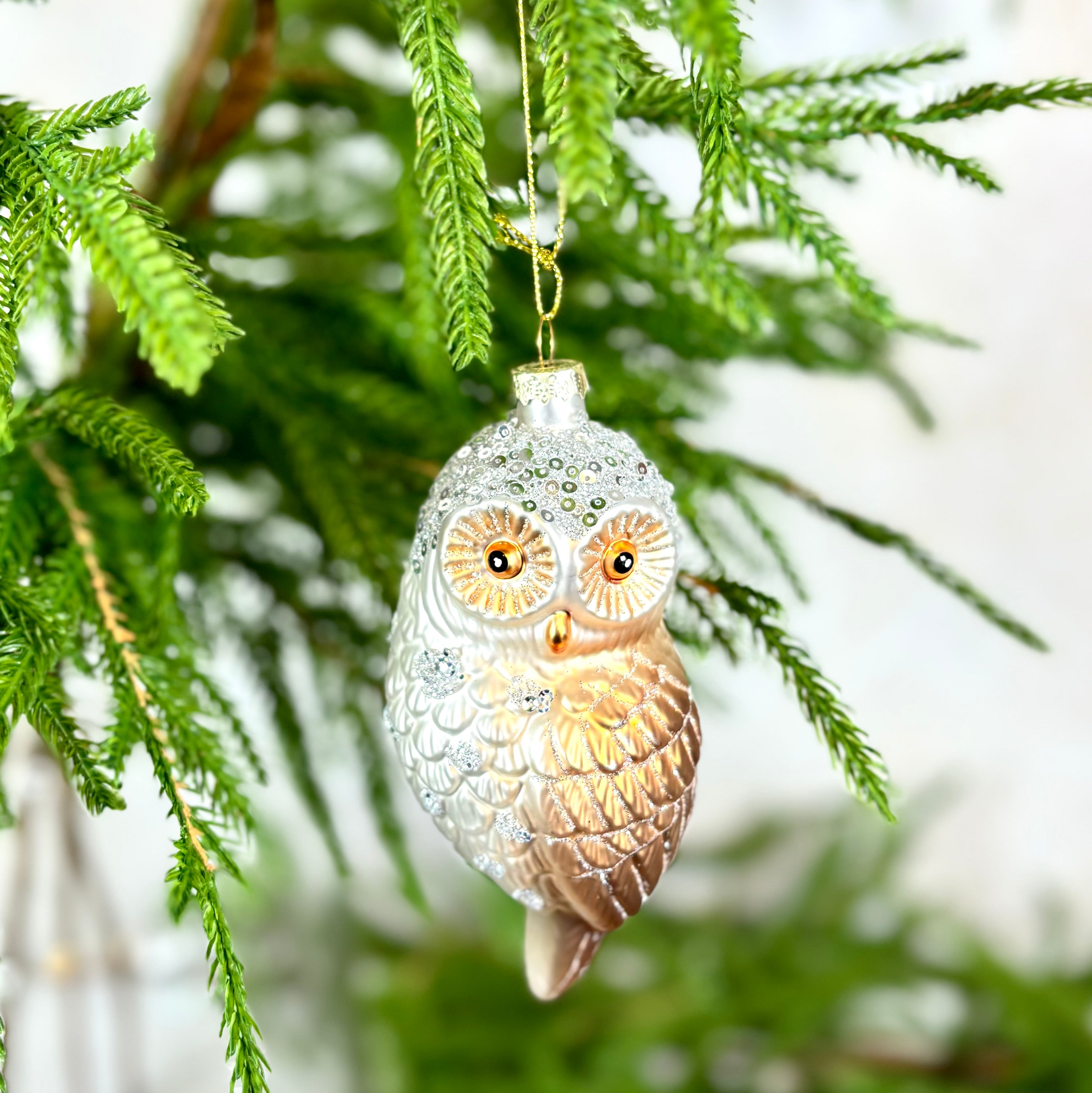 Glass Silver Owl Ornament with Gold Wing