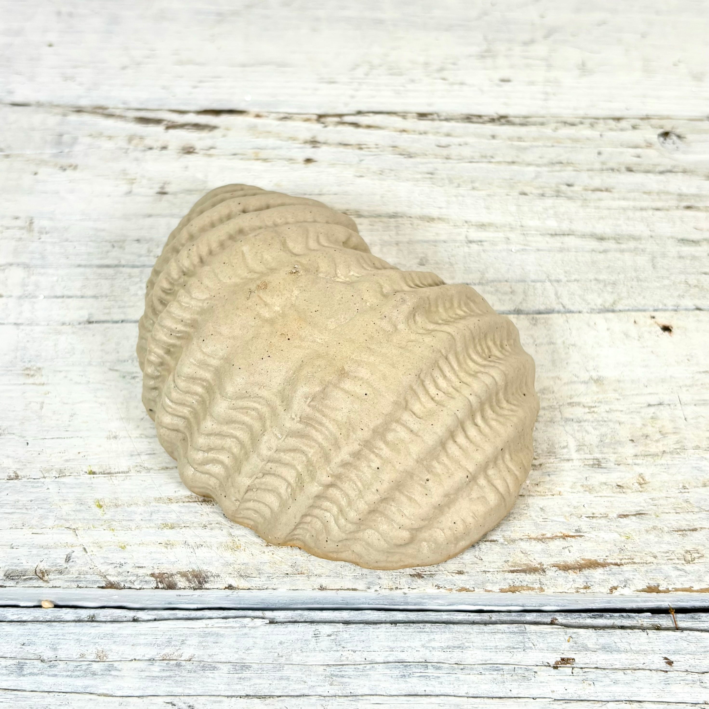 Stoneware White Shell Ostreidae Dish