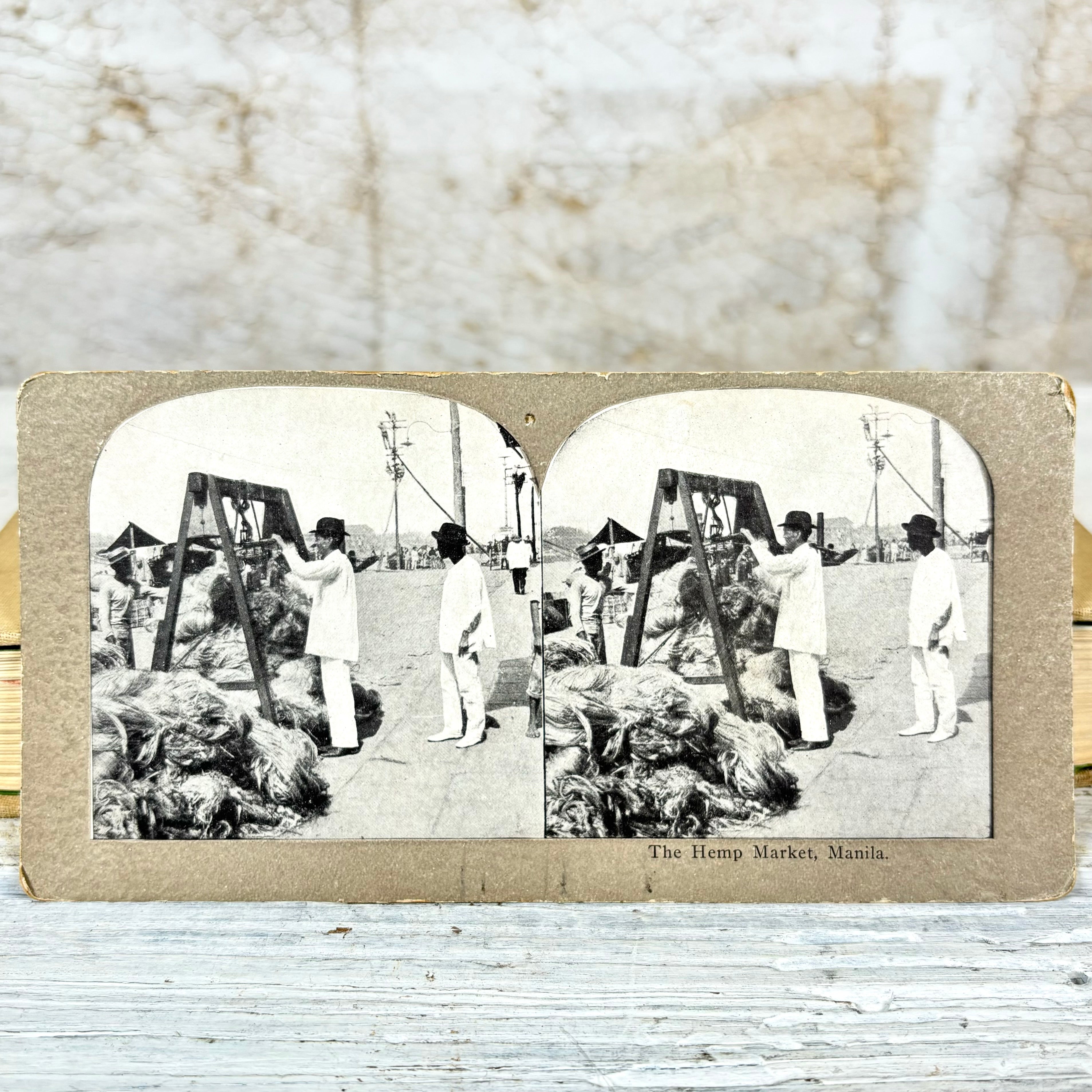 Griffith & Griffith Stereoview The Hemp Market