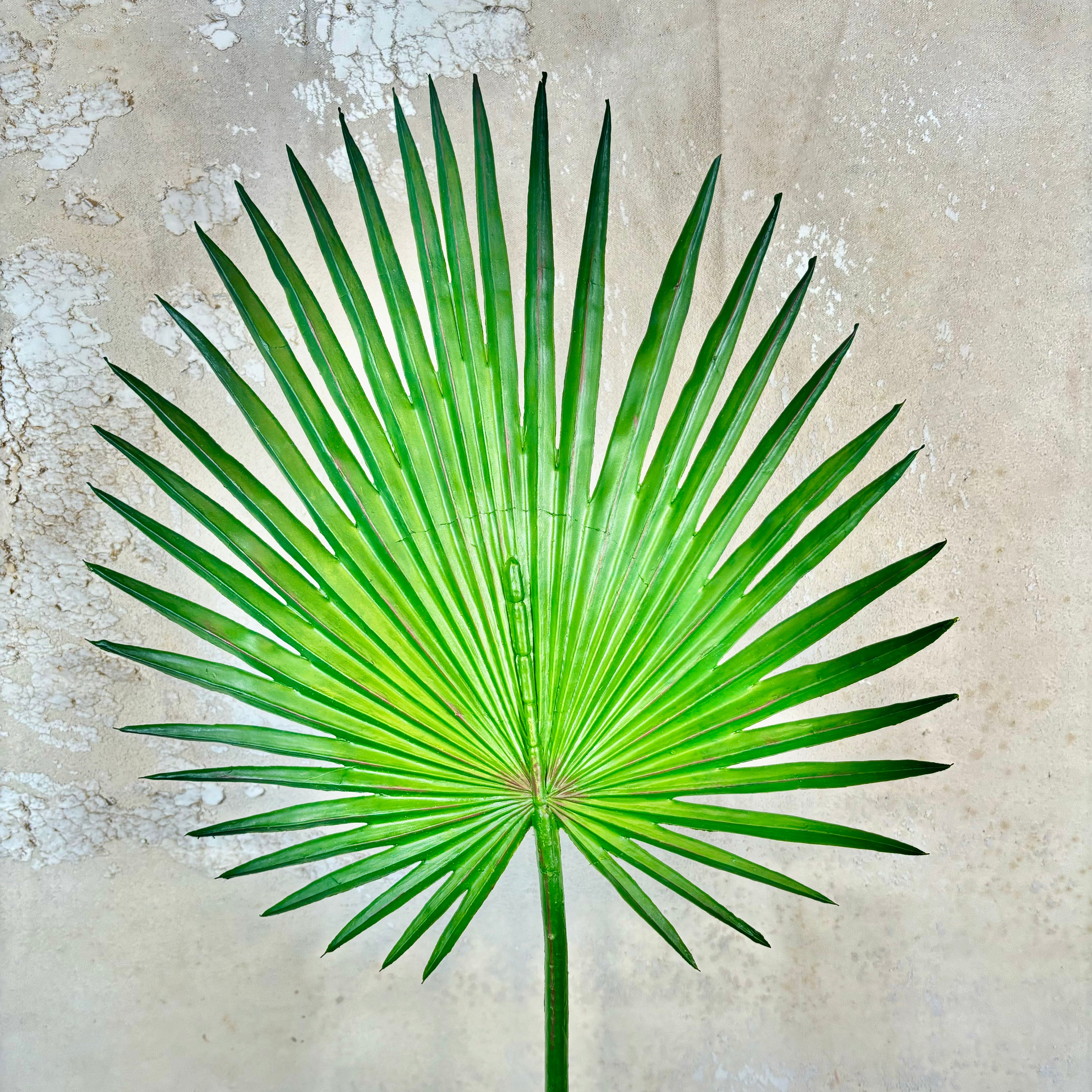 Fan Palm Stem 33"L