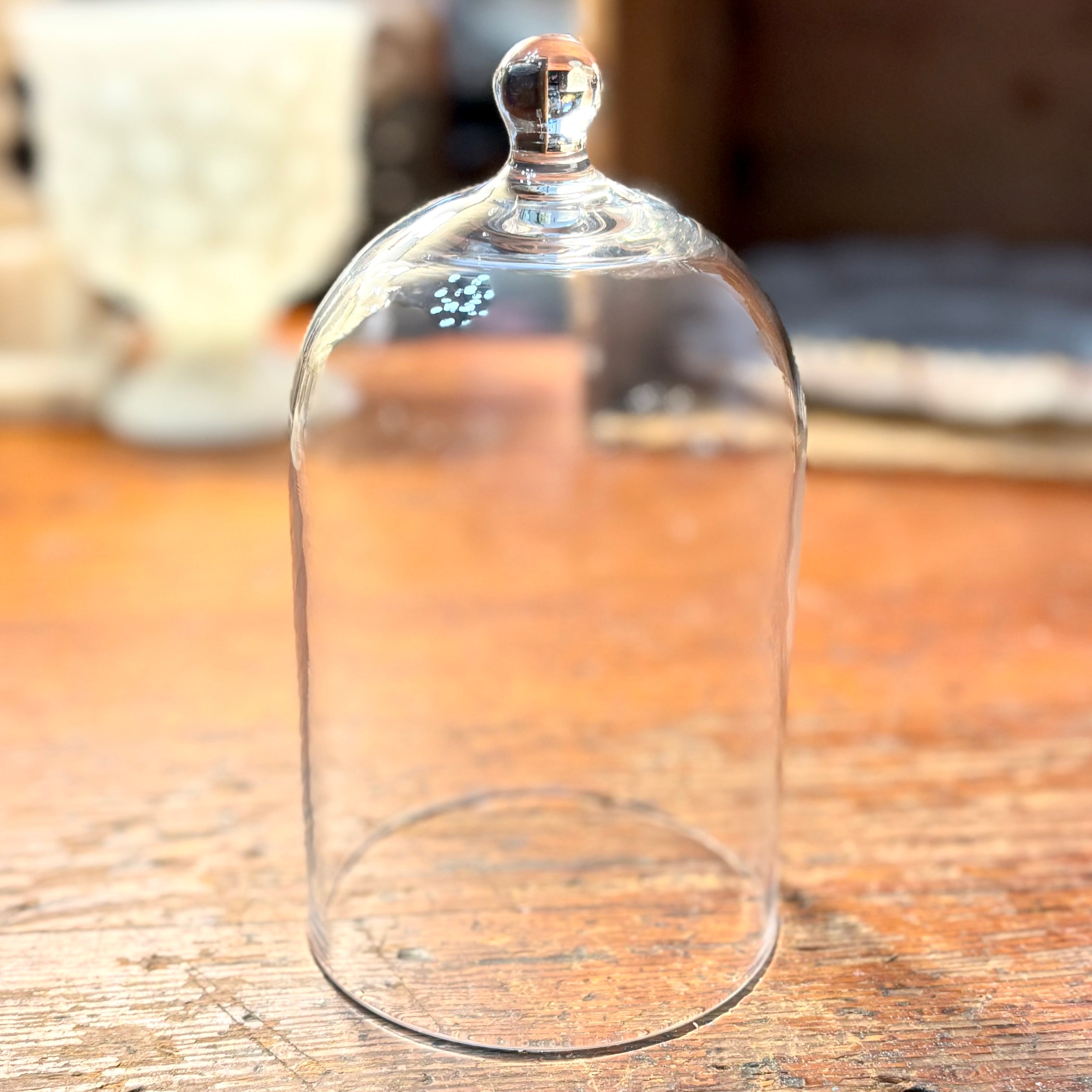 Small Glass Cloche