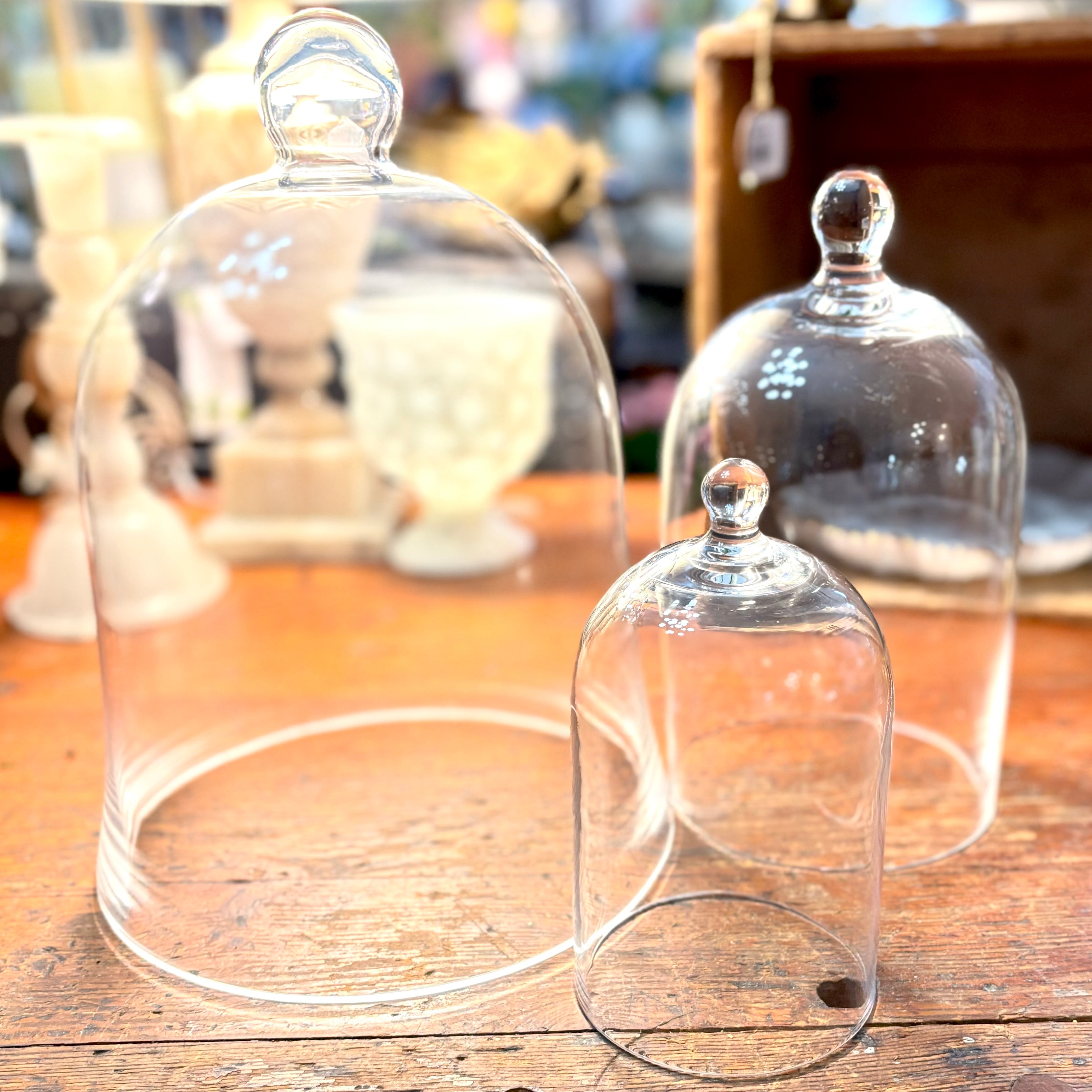 Small Glass Cloche