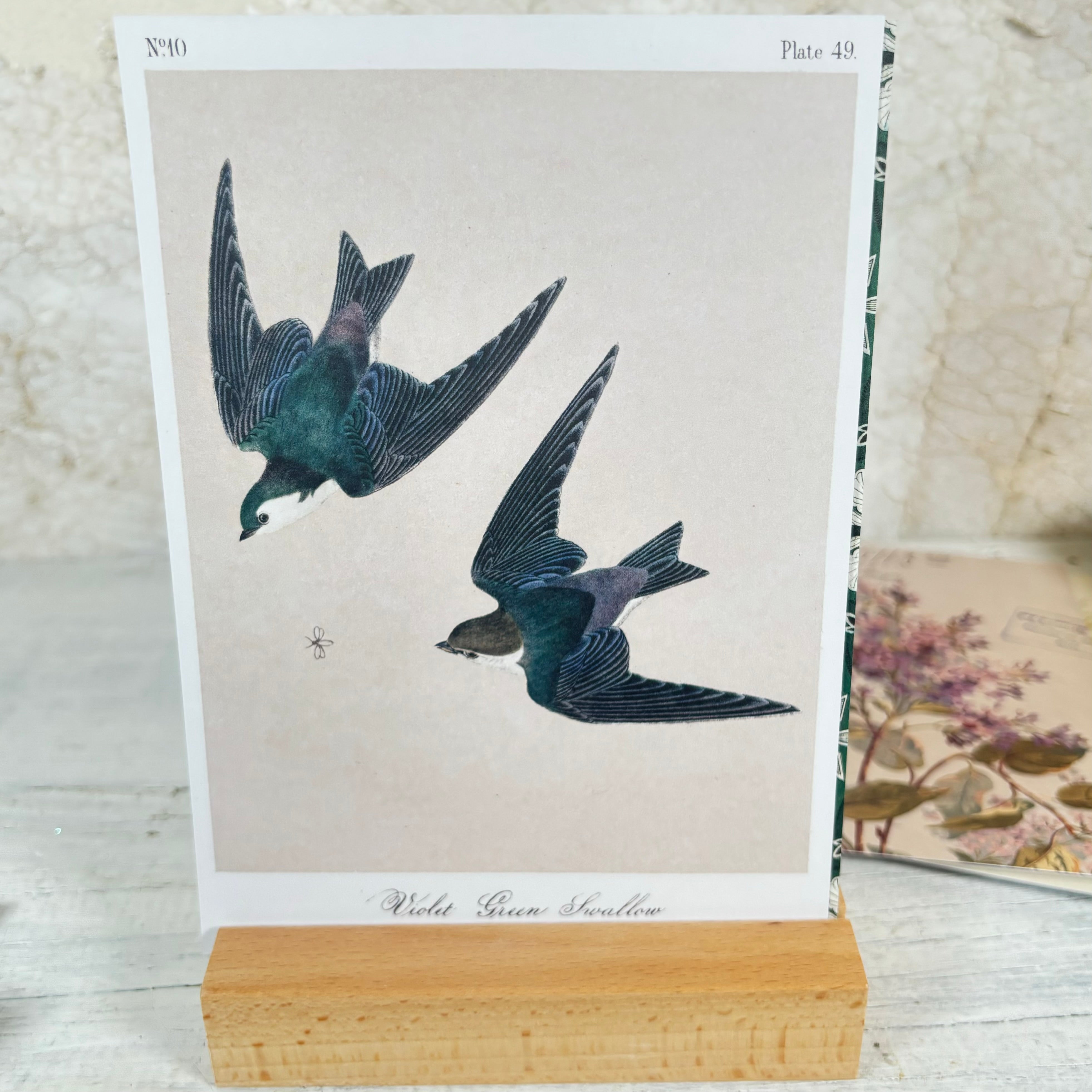 Memento Postcards Art Set with Wood Block Stand