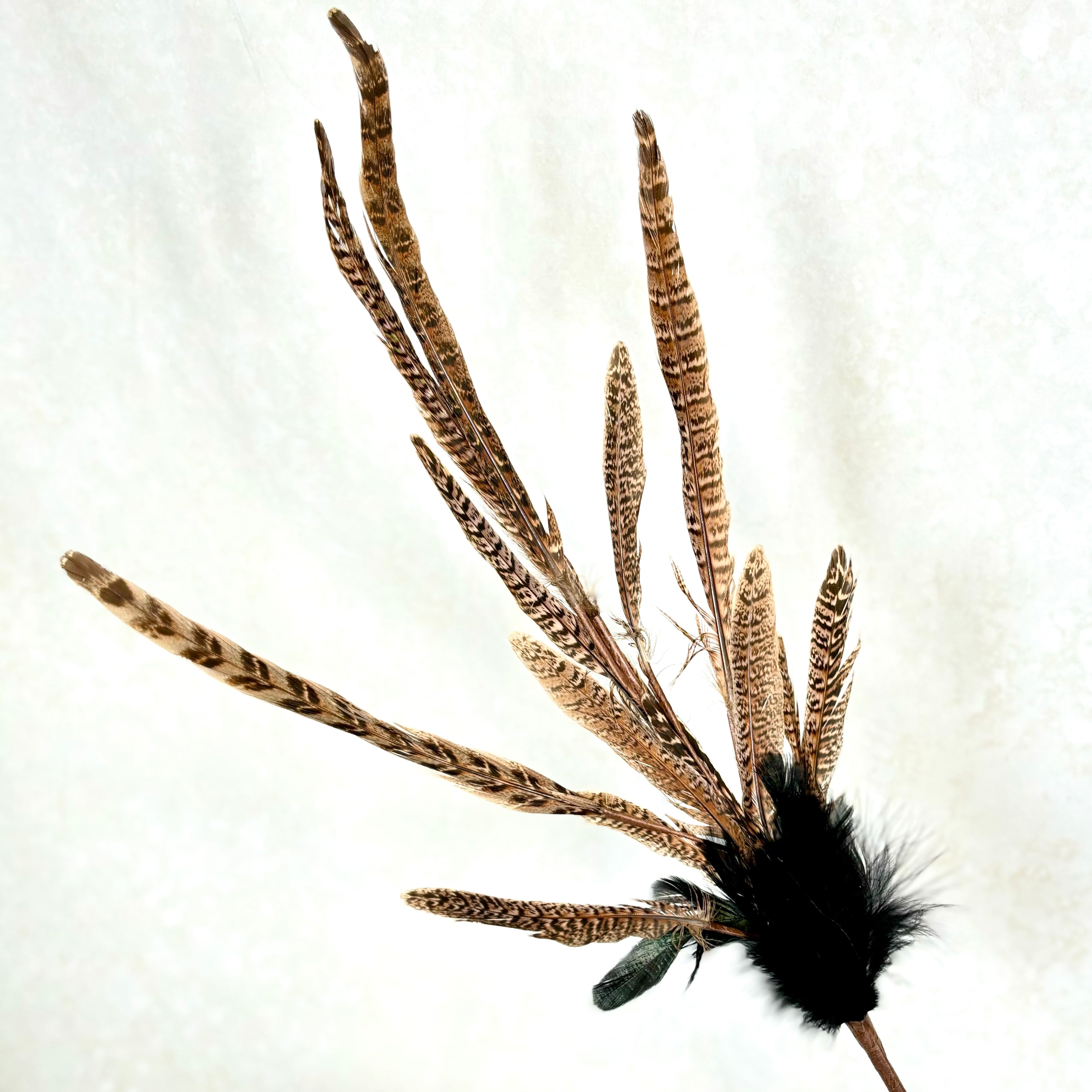 Pheasant Feather Spray