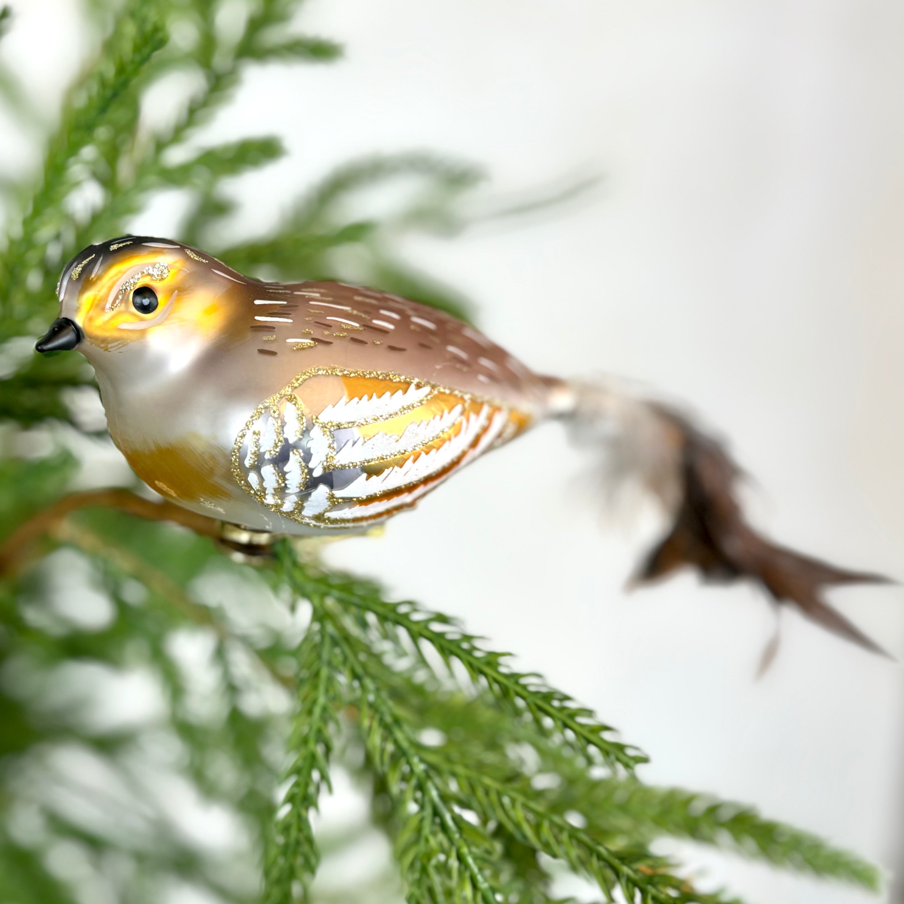 Clip-On Feathered Tail Bird Ornament