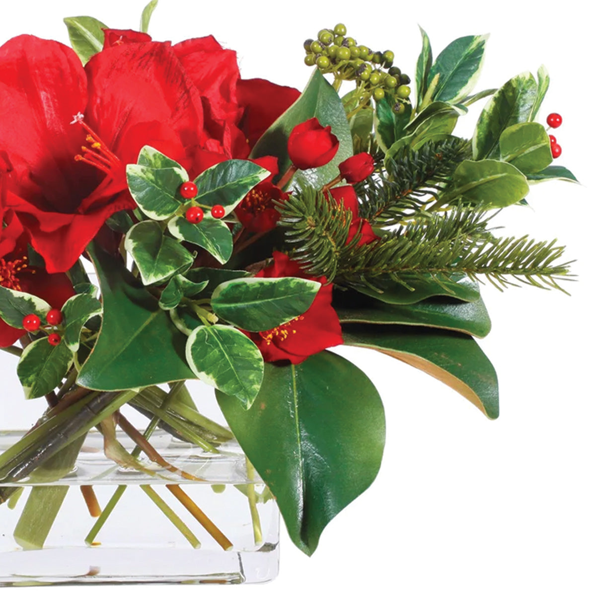 Red Holiday Amaryllis  and Holly in Vase Large