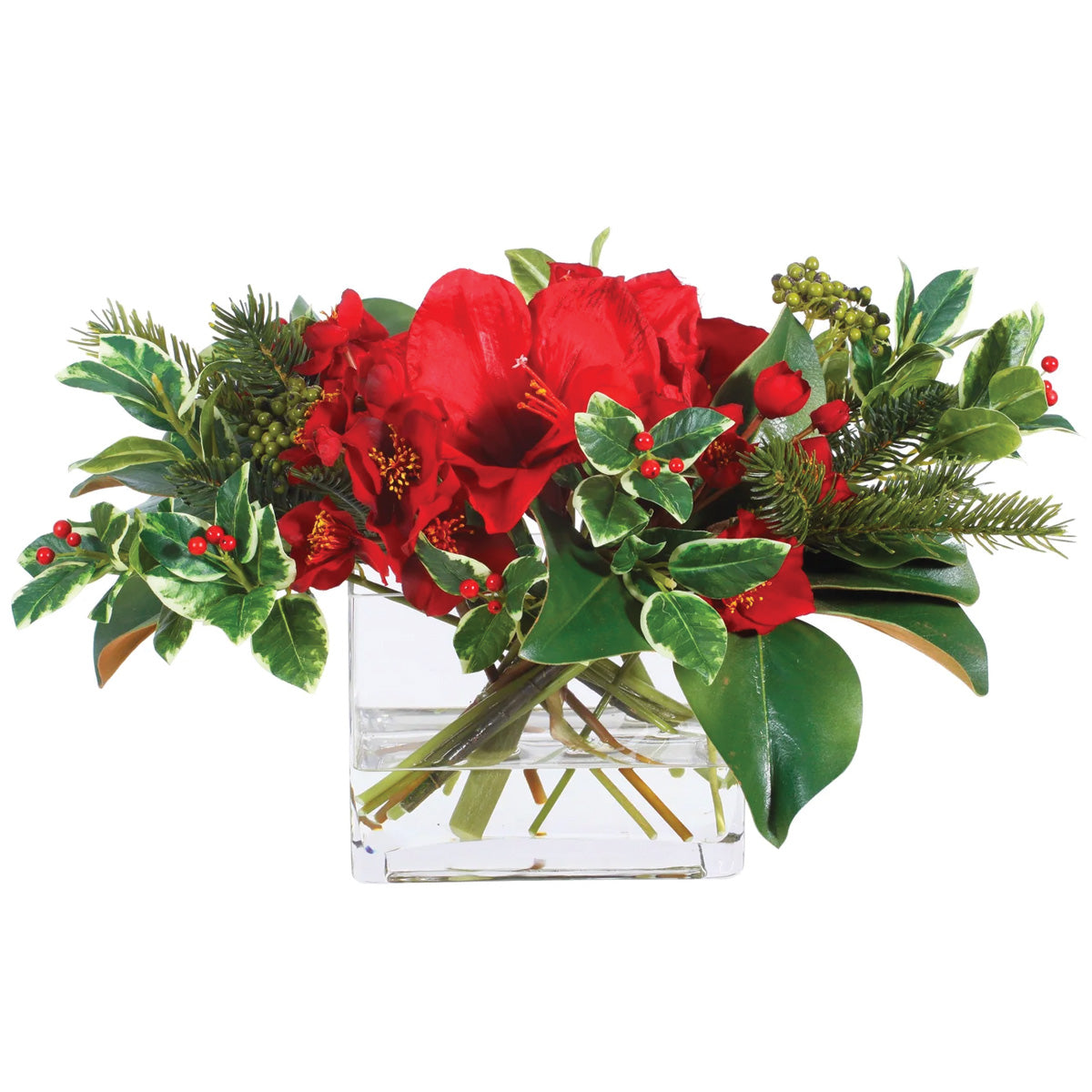 Red Holiday Amaryllis  and Holly in Vase Large