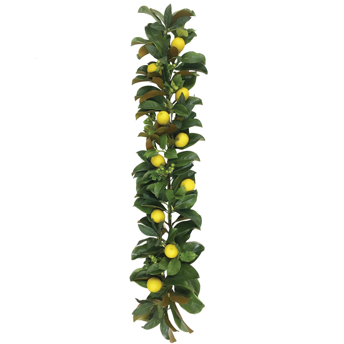 Lemon and Magnolia Garland 5'