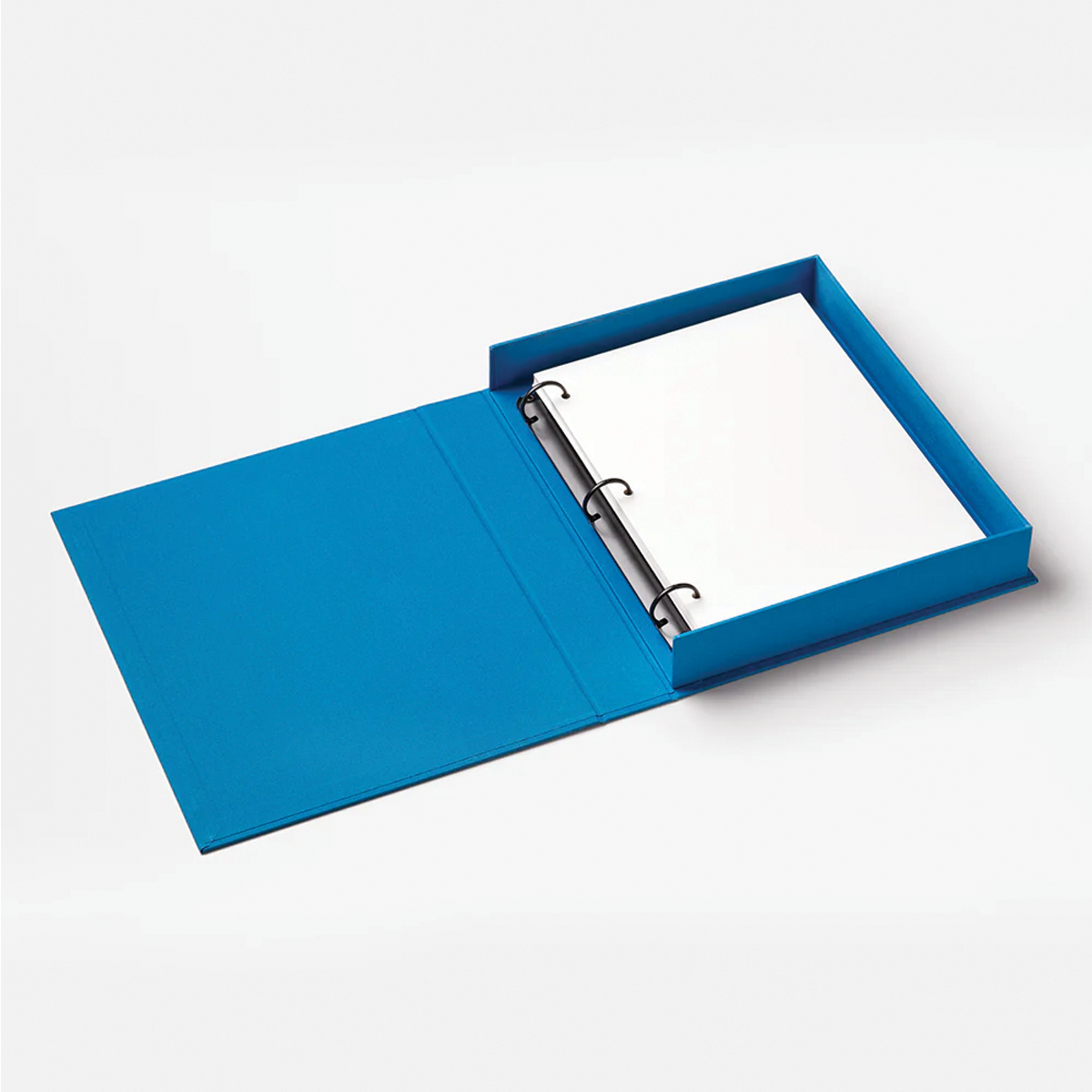 Life In Pictures, Blue, Photo Album