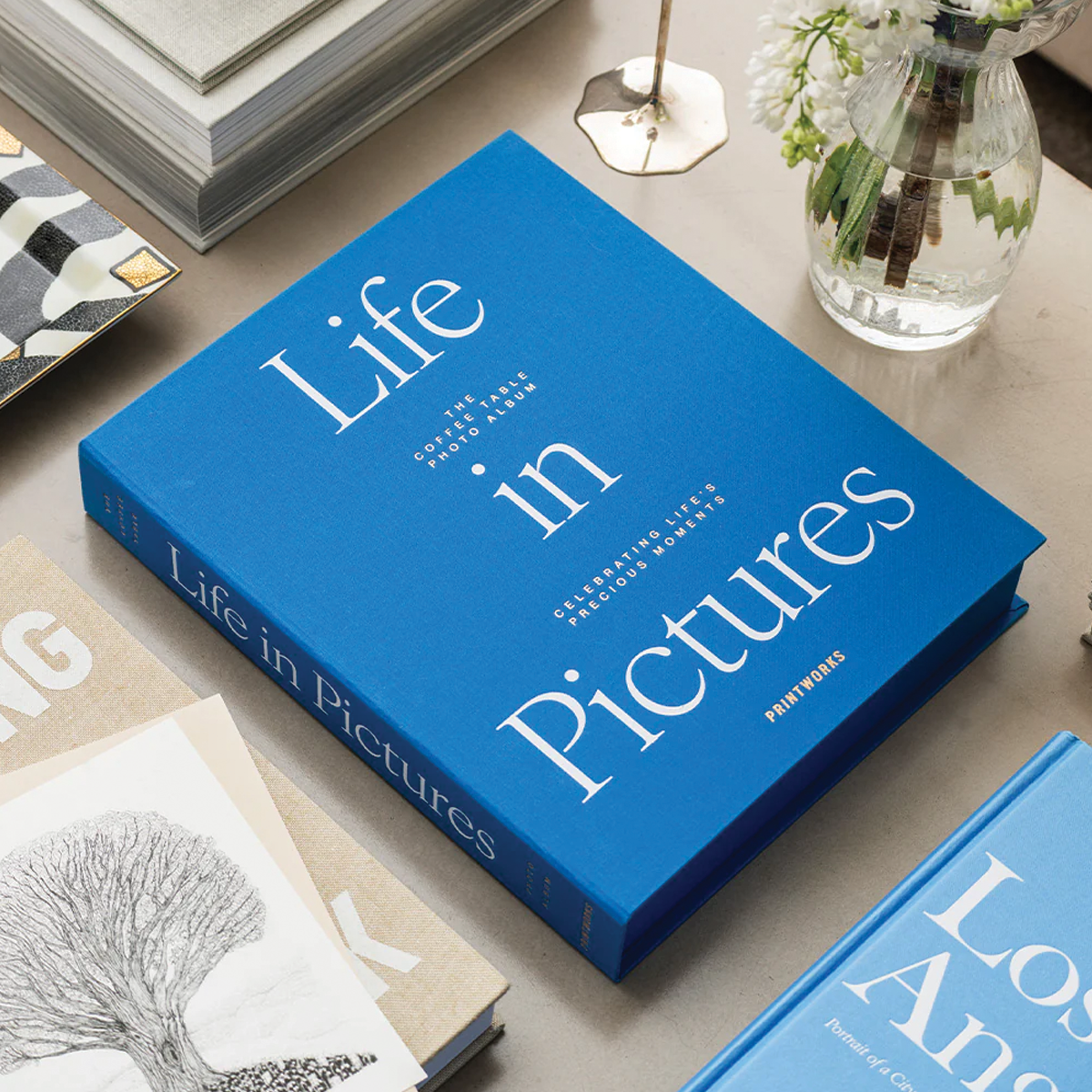 Life In Pictures, Blue, Photo Album
